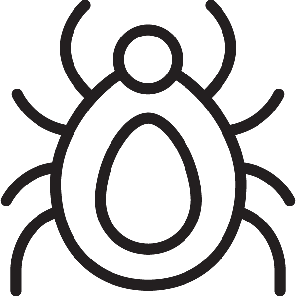 Line drawing of a tick