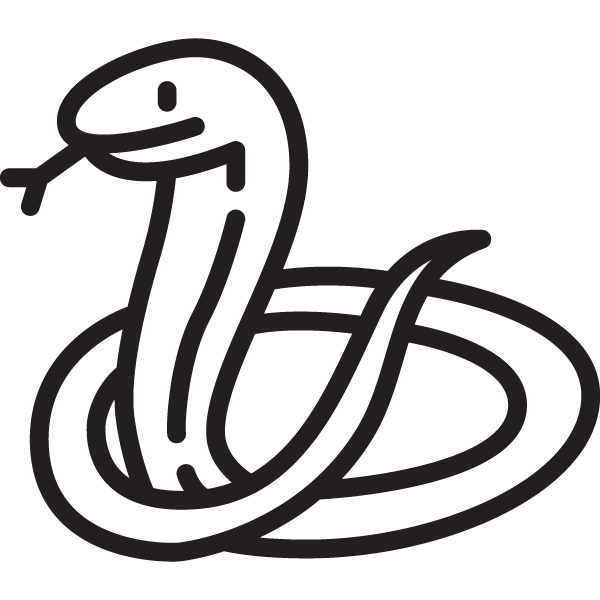 Line drawing of a snake coiled in a circular shape with a smiling face.