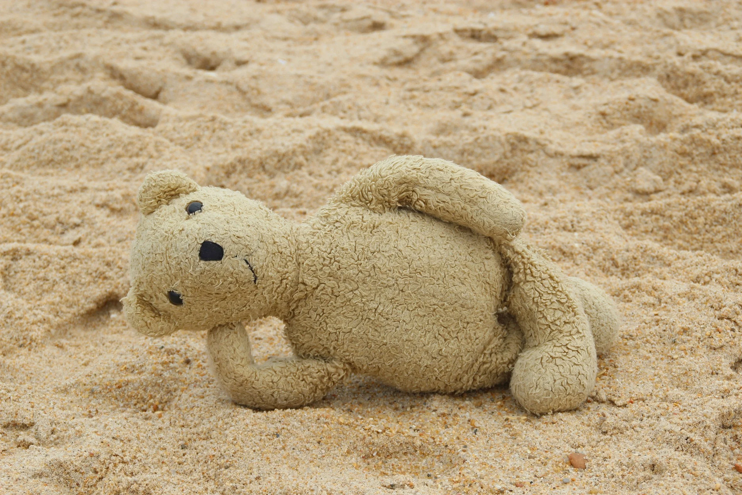 A worn, beige teddy bear lying on sandy ground with small stones, with worn, curly fur and black eyes.