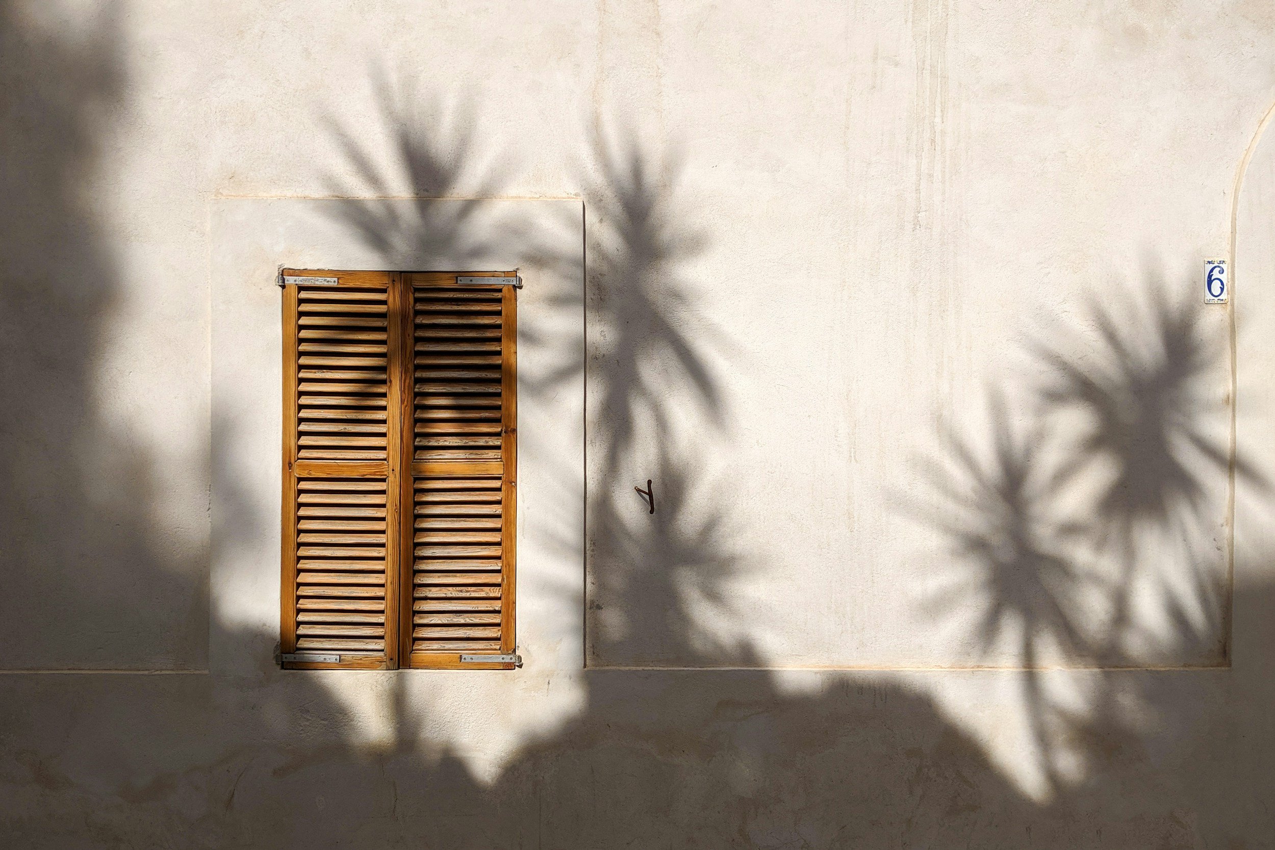 Shadow of palm trees on a white wall with a closed wooden window shutter and a house number 6.
