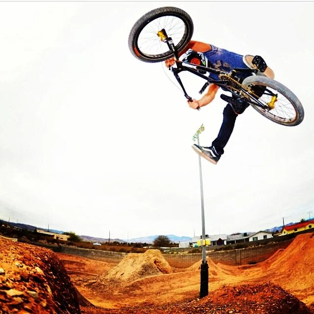 T.J. Lavin