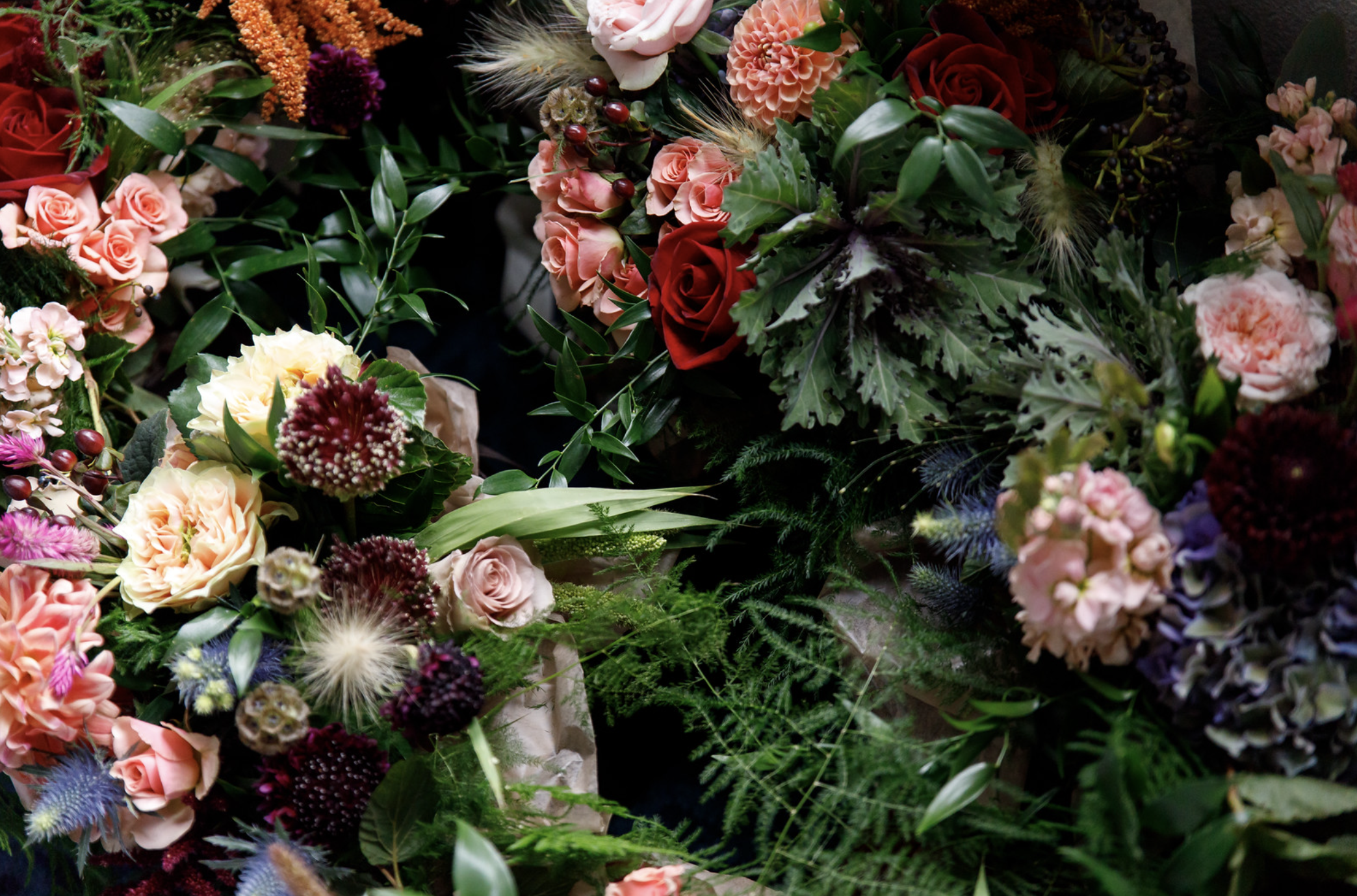 Screen Shot 2022-04-02 at 1.04.07 PM.png