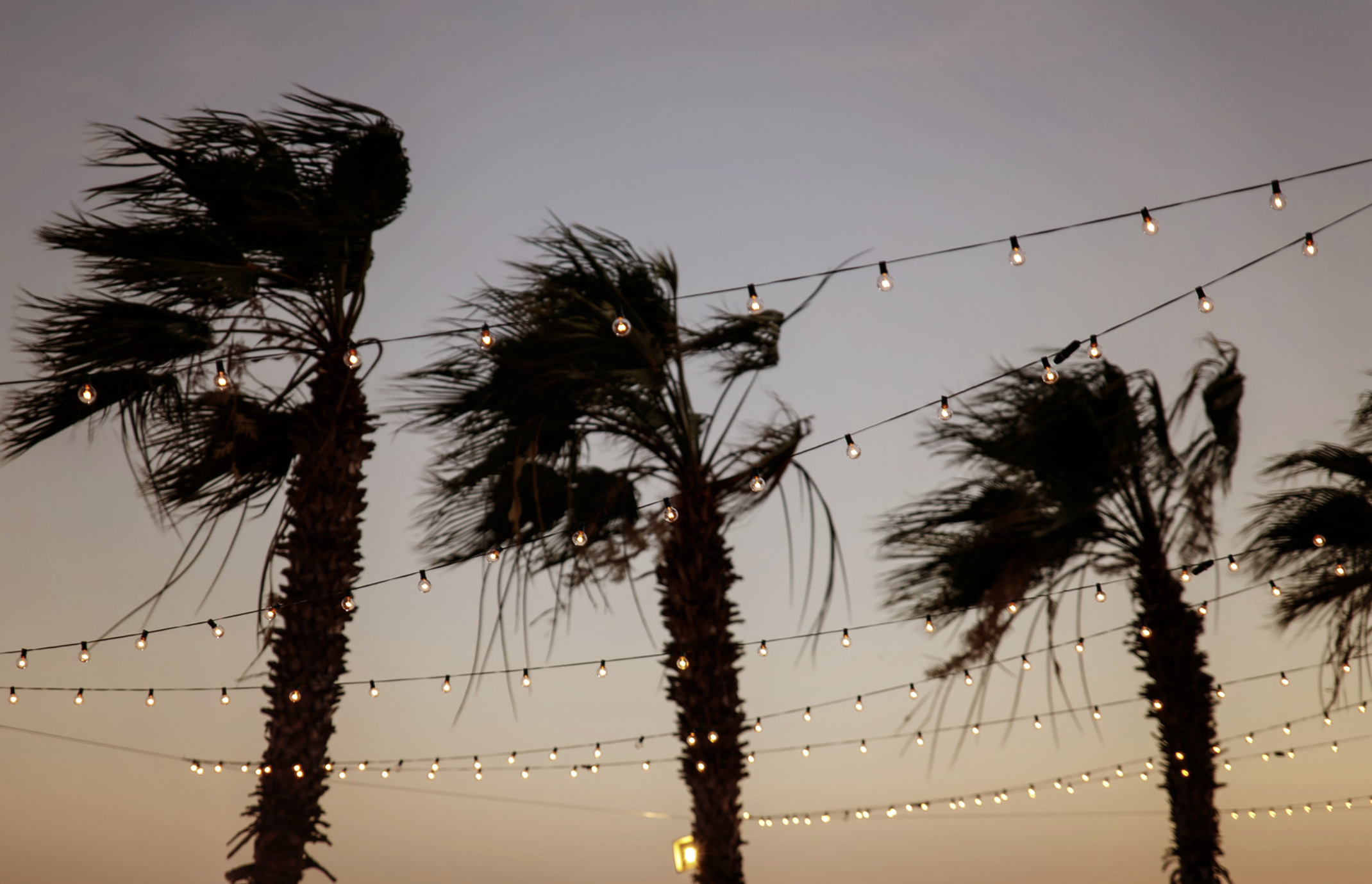 Screen Shot 2022-04-02 at 2.53.30 PM.png