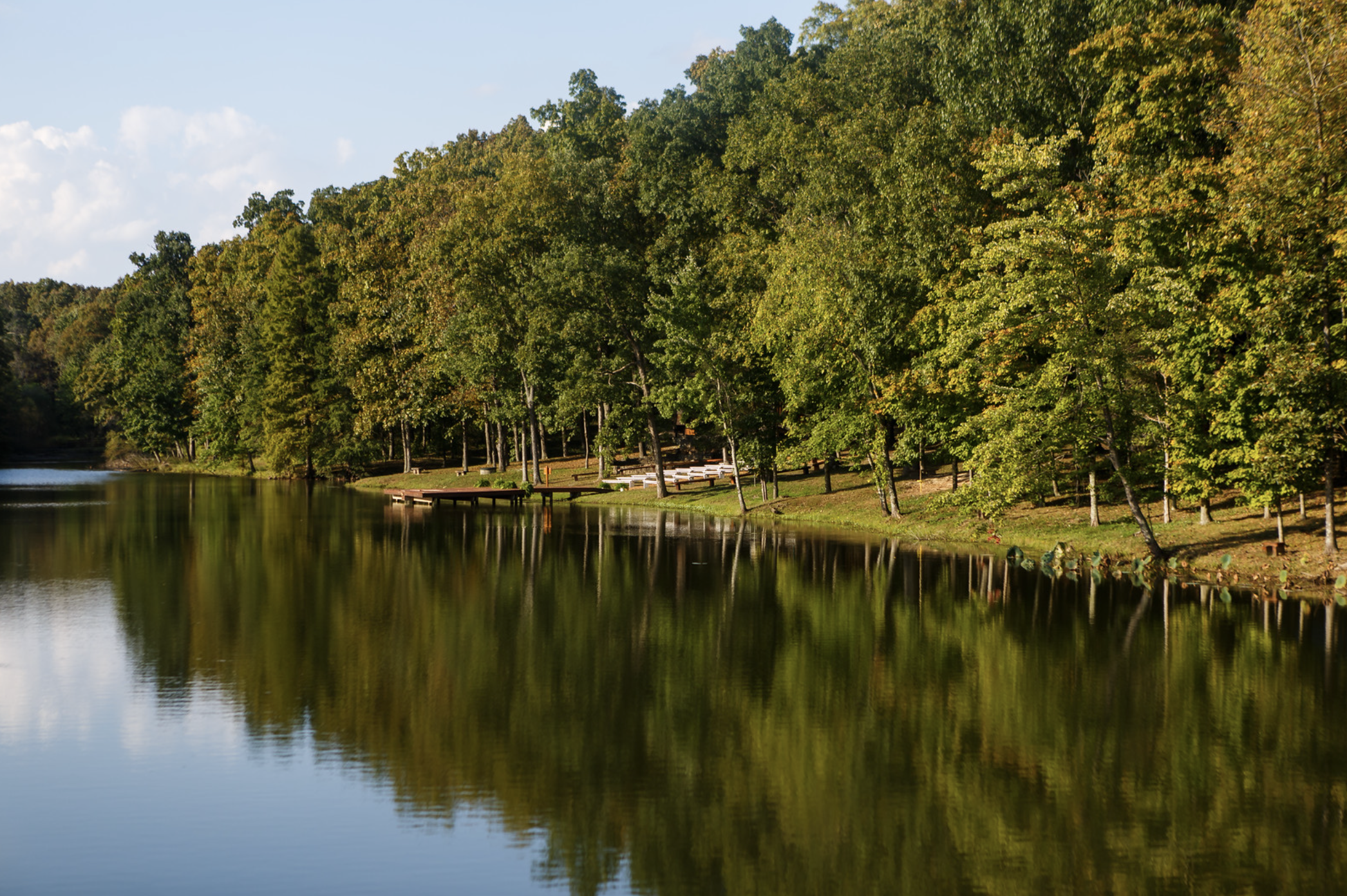 Screen Shot 2022-04-01 at 8.14.48 PM.png