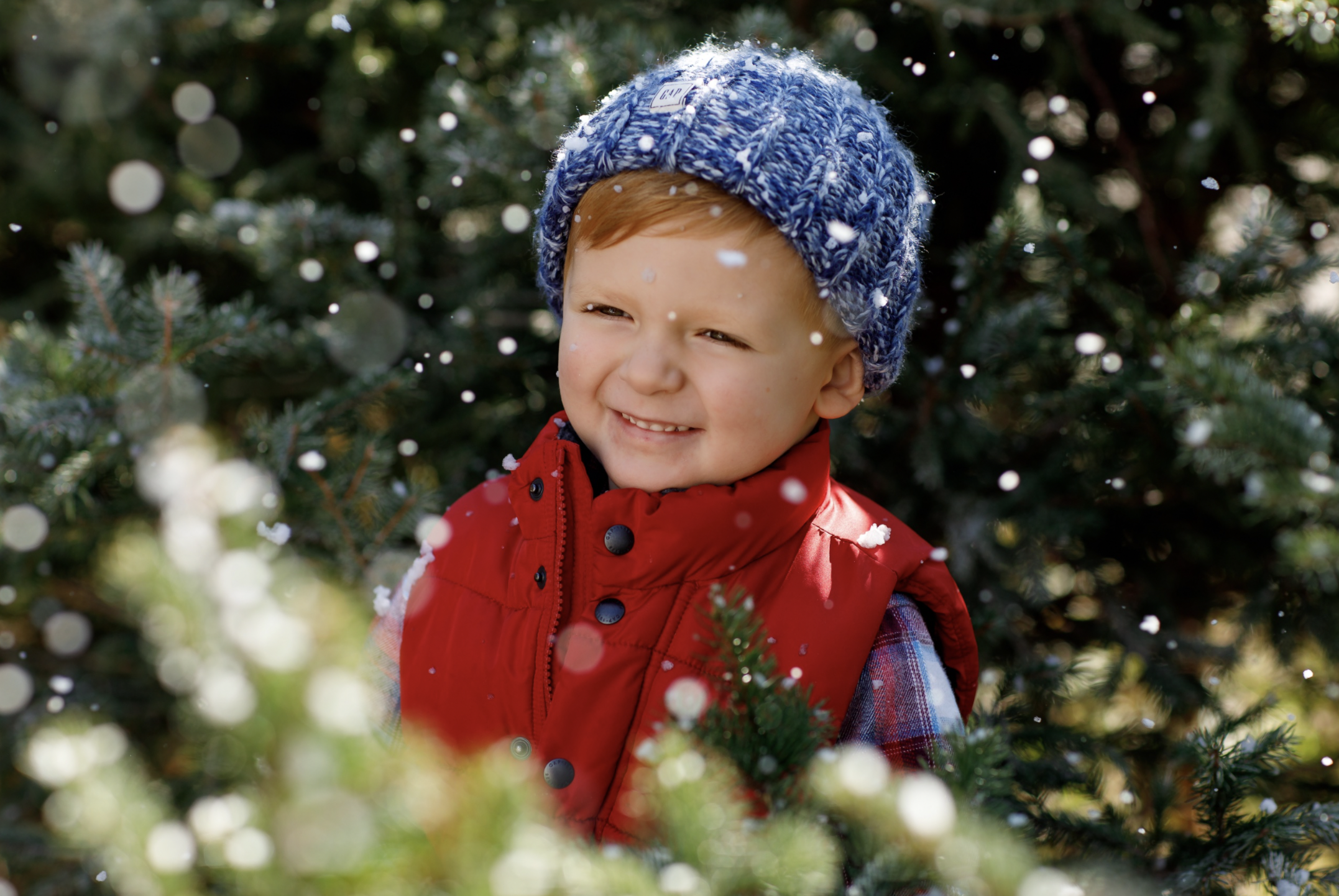 Screen Shot 2022-04-01 at 3.51.24 PM.png