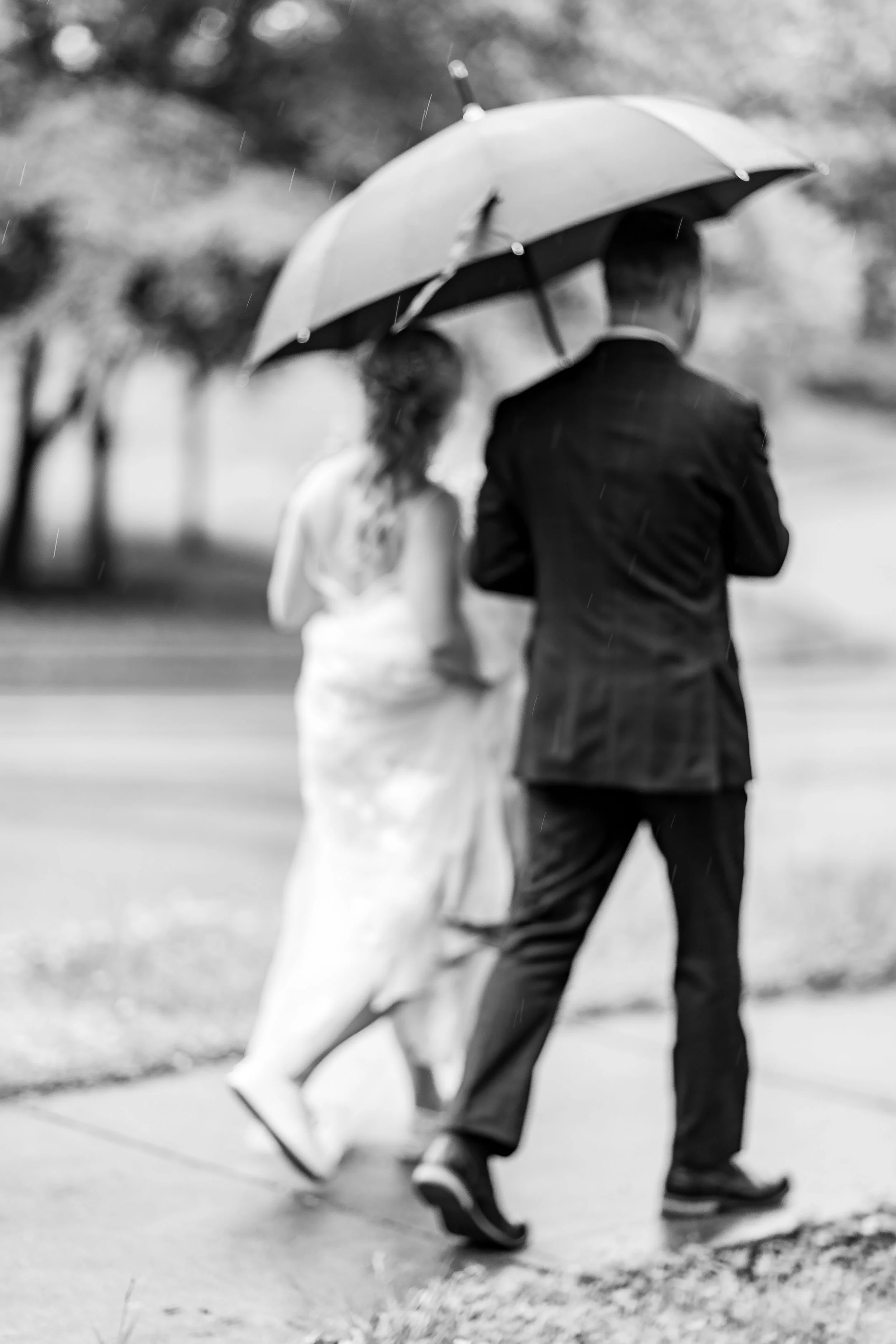 A black-and-white photo of a couple walking together under an umbrella in the rain, with trees in the background.