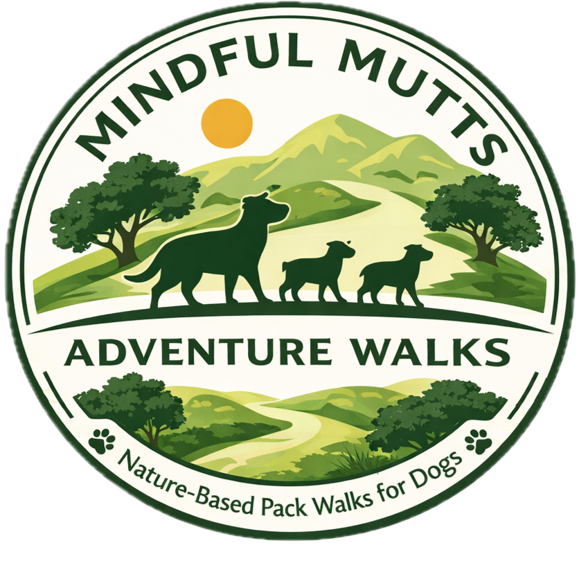 Mindful Mutts Adventure Walks