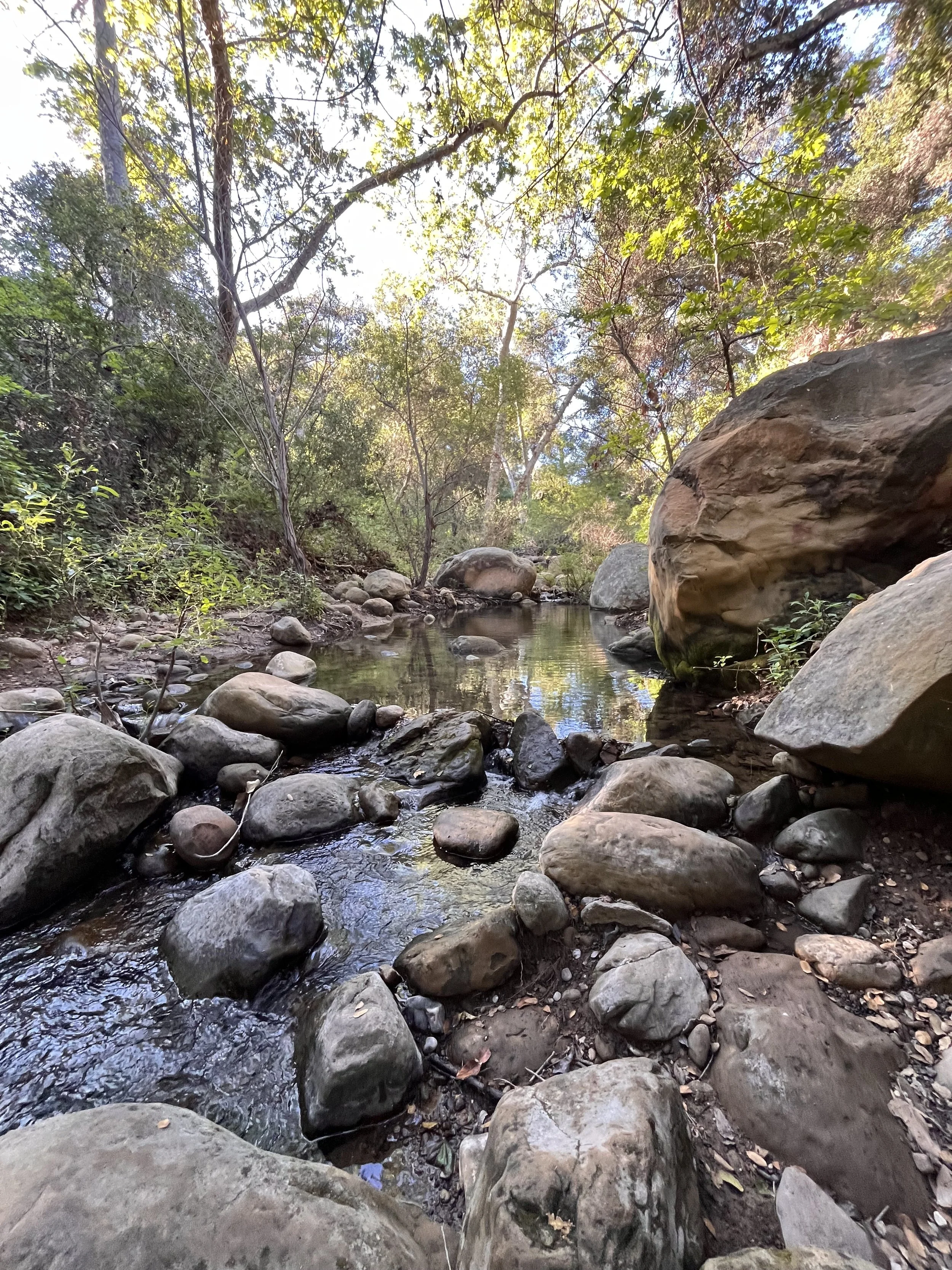 Nature, hiking, trail walking, Santa Barbara