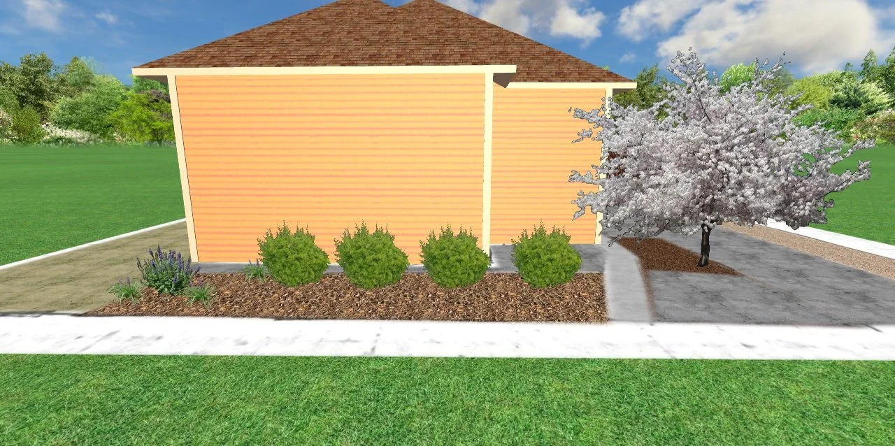 Front yard of a house with a peach-colored siding, four green bushes, a blossoming tree, and a concrete sidewalk.