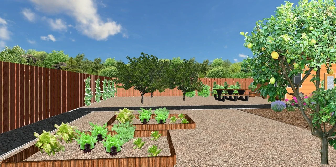 A backyard garden with raised vegetable beds, fruit trees with lemons, a picnic table, and various shrubs and trees against a wooden fence under a blue sky.