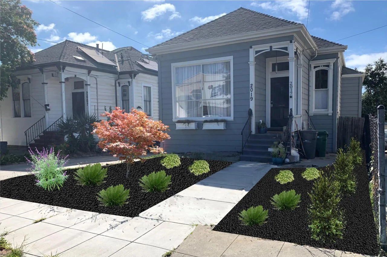 Front yard with flower beds containing various green plants and a small tree, sidewalk leading to steps and front porch of a blue house with large front window, neighboring white house also visible under a partly cloudy sky.