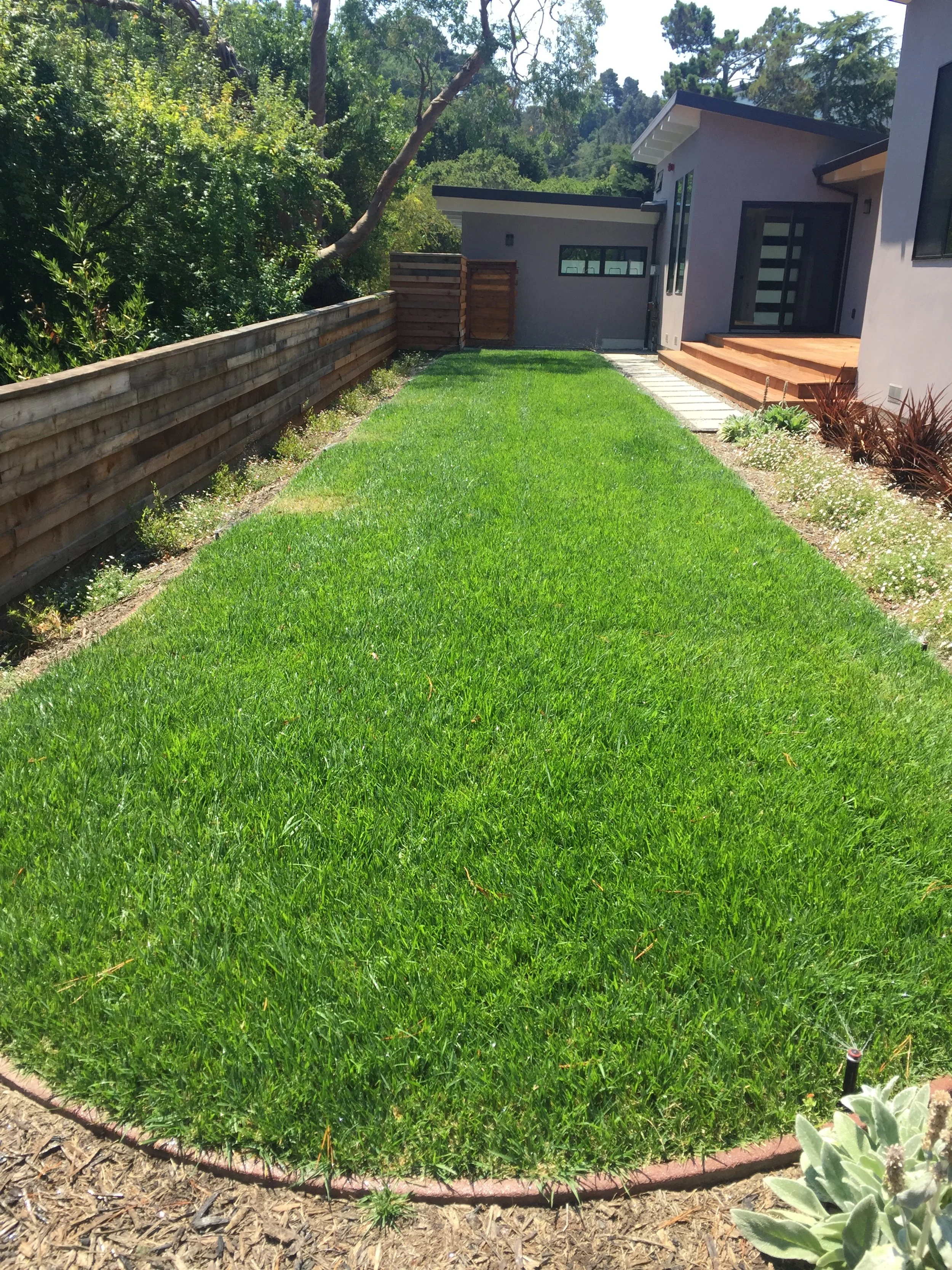 A backyard with a lush green lawn, wooden fence on the left, and a modern house with steps leading to a deck on the right, surrounded by trees and shrubs.