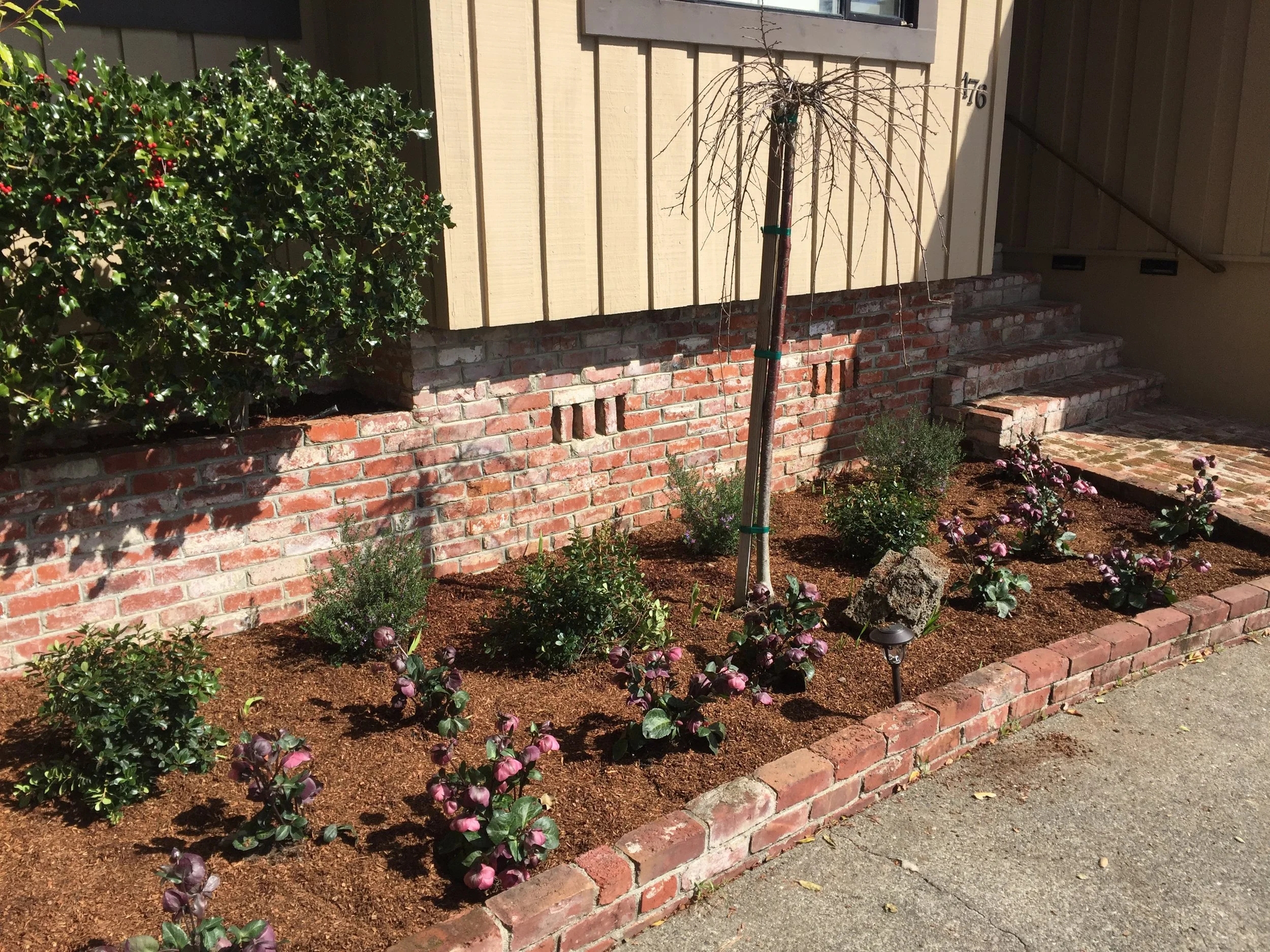 A brick planter box with small purple flowering plants and a young, leafless tree in front of a beige house with steps leading to the door.