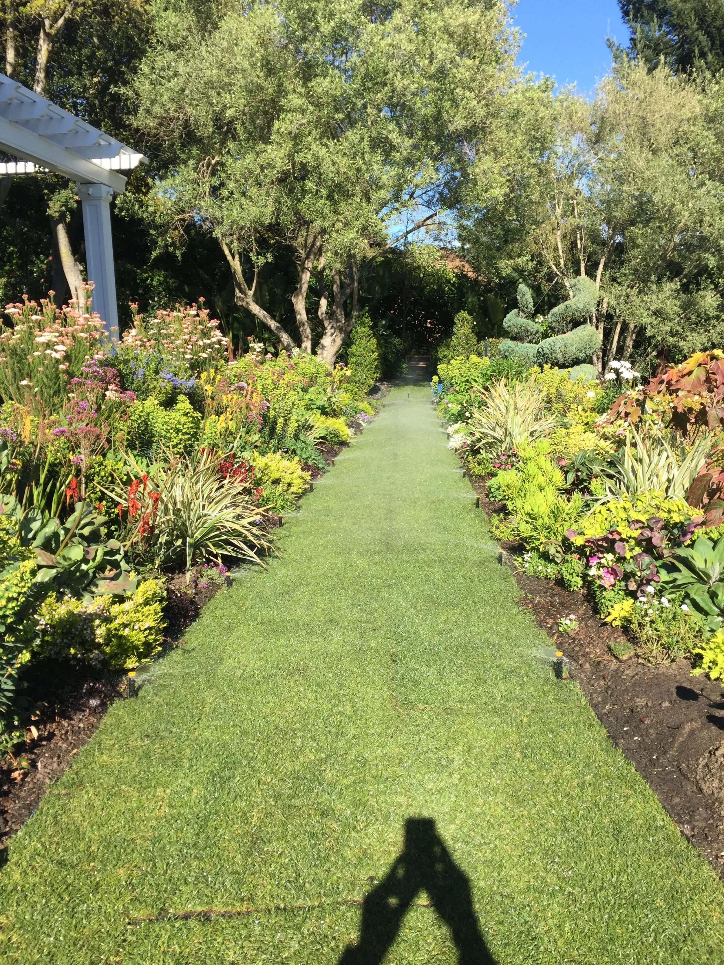 A lush garden pathway lined with colorful flowers and plants, with large trees overhead and a sunny sky.
