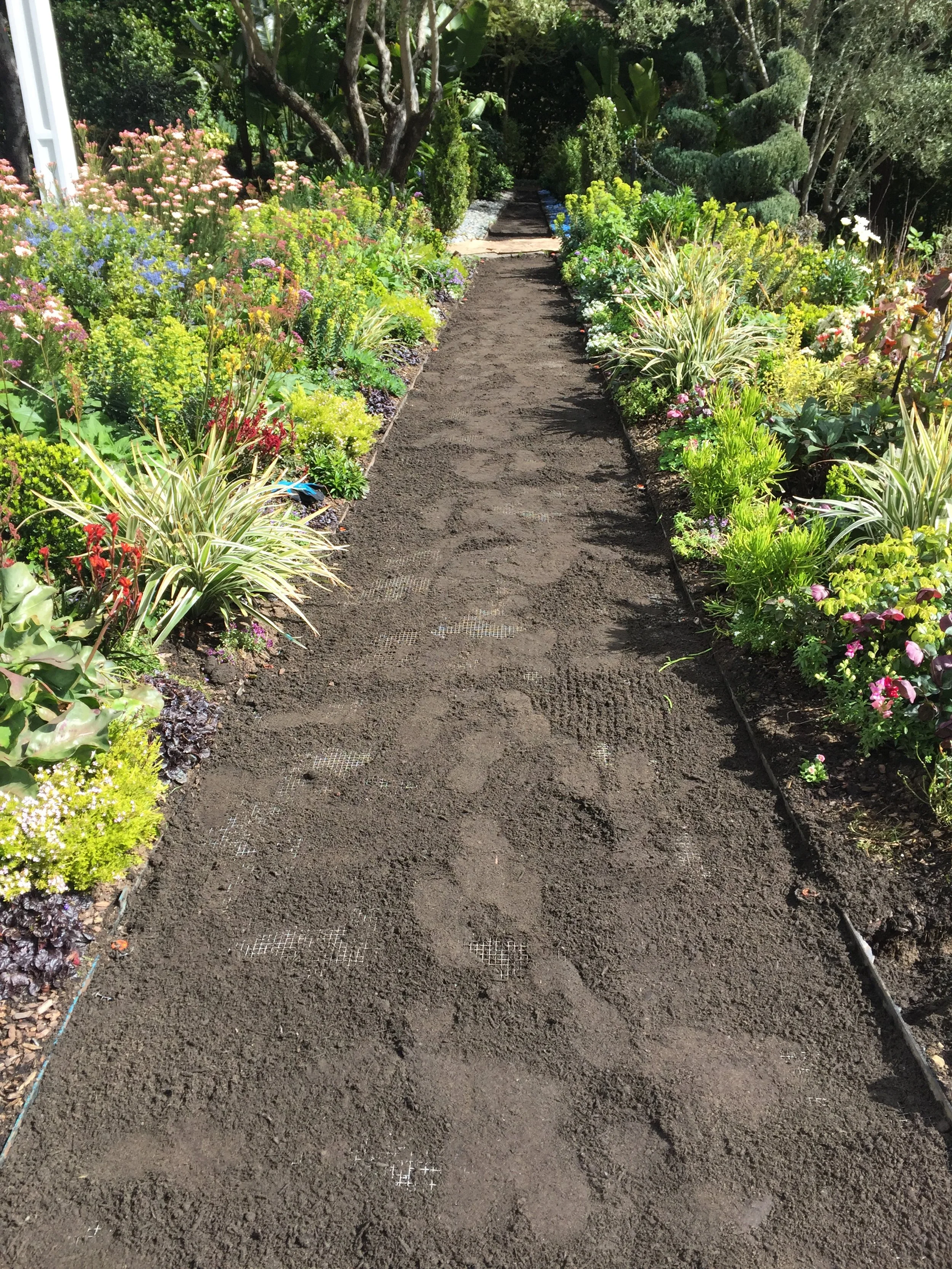 A garden pathway with freshly tilled soil and footprints, bordered by colorful flowering plants and lush shrubs in sunlight.