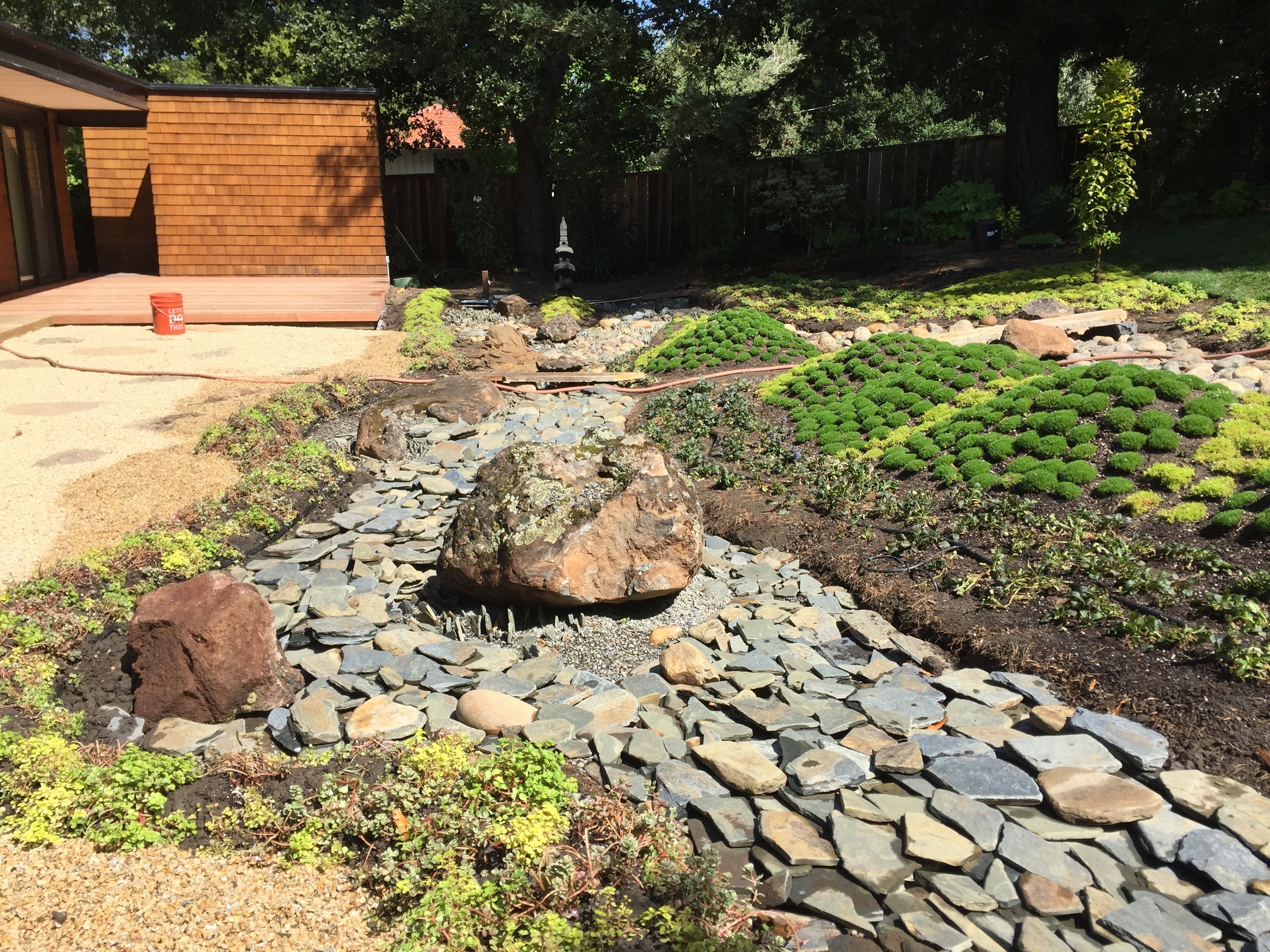 A landscaped backyard with a rock garden, small plants, and a wooden deck attached to a house. The yard features a dry creek bed lined with flat stones, large rocks, and patches of green ground cover, with a background of trees and a wooden fence.