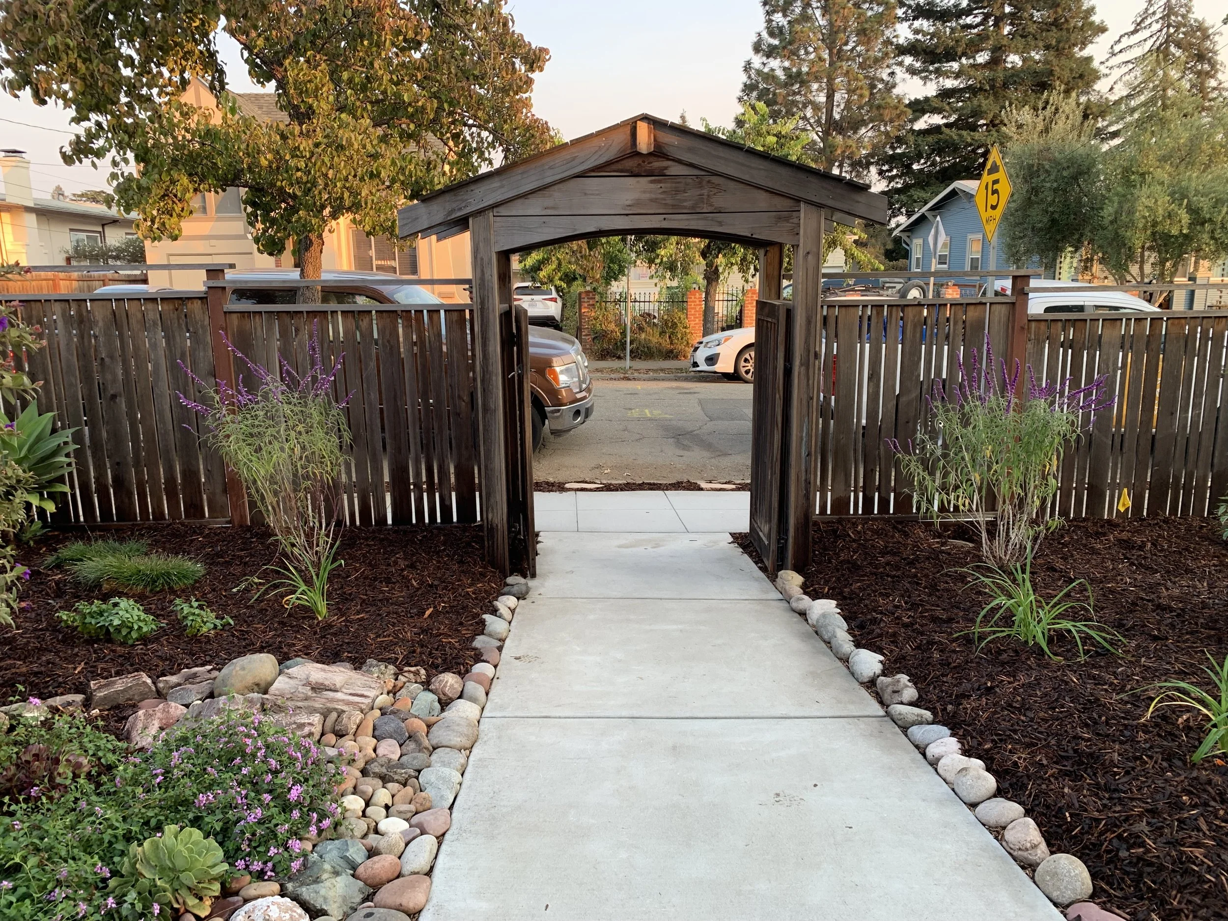 A garden pathway with a wooden gate, plants, and a sidewalk, leading to a parking lot with cars, trees, and houses in the background during sunset.