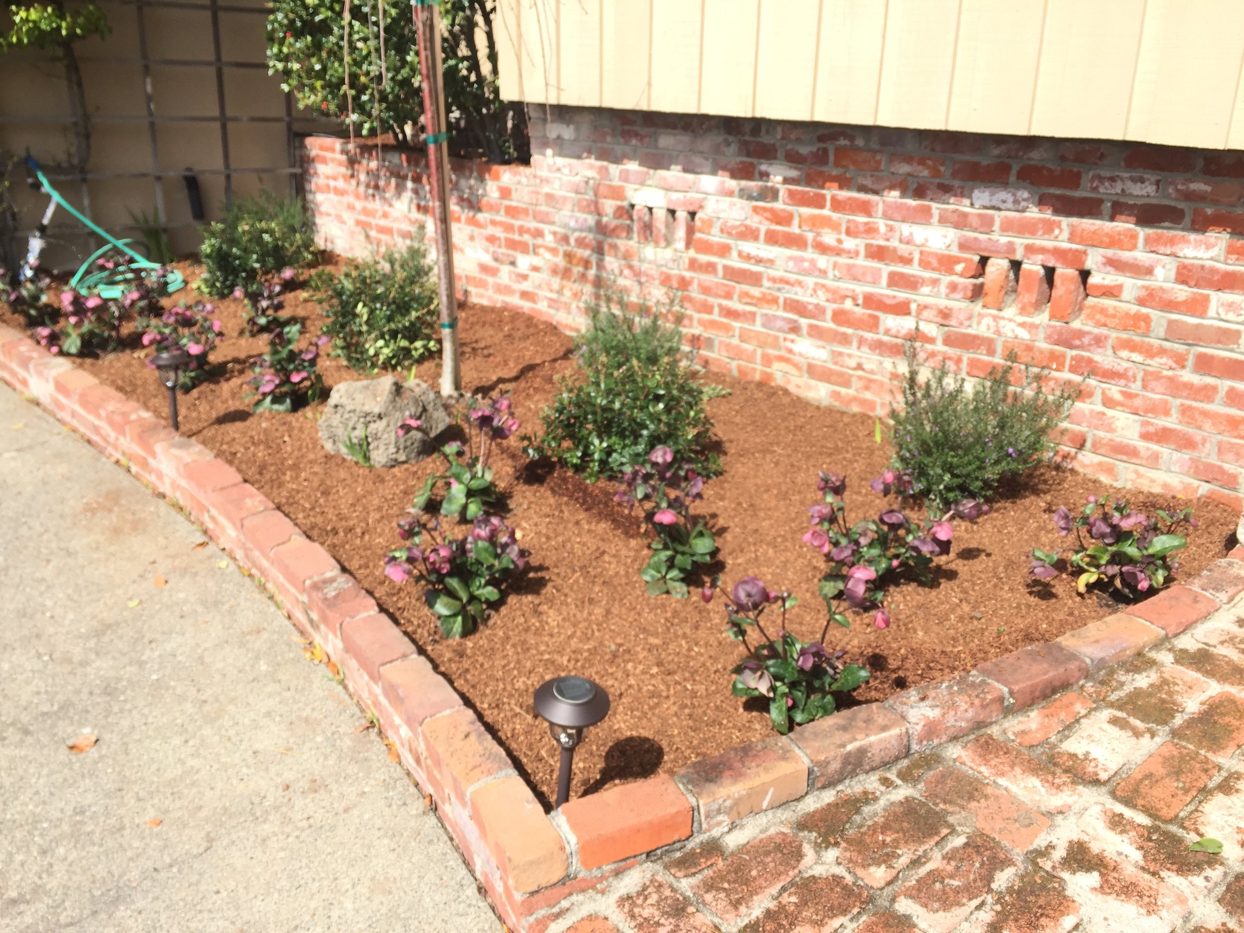 A small garden bed with purple flowering plants, mulch, a rock, and pathway lights, bordered by red bricks, next to a brick wall and yellow siding.
