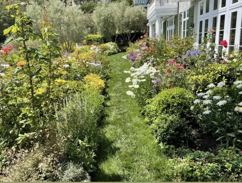 A lush garden pathway with vibrant flowering plants on both sides, adjacent to a white residential building with large windows.