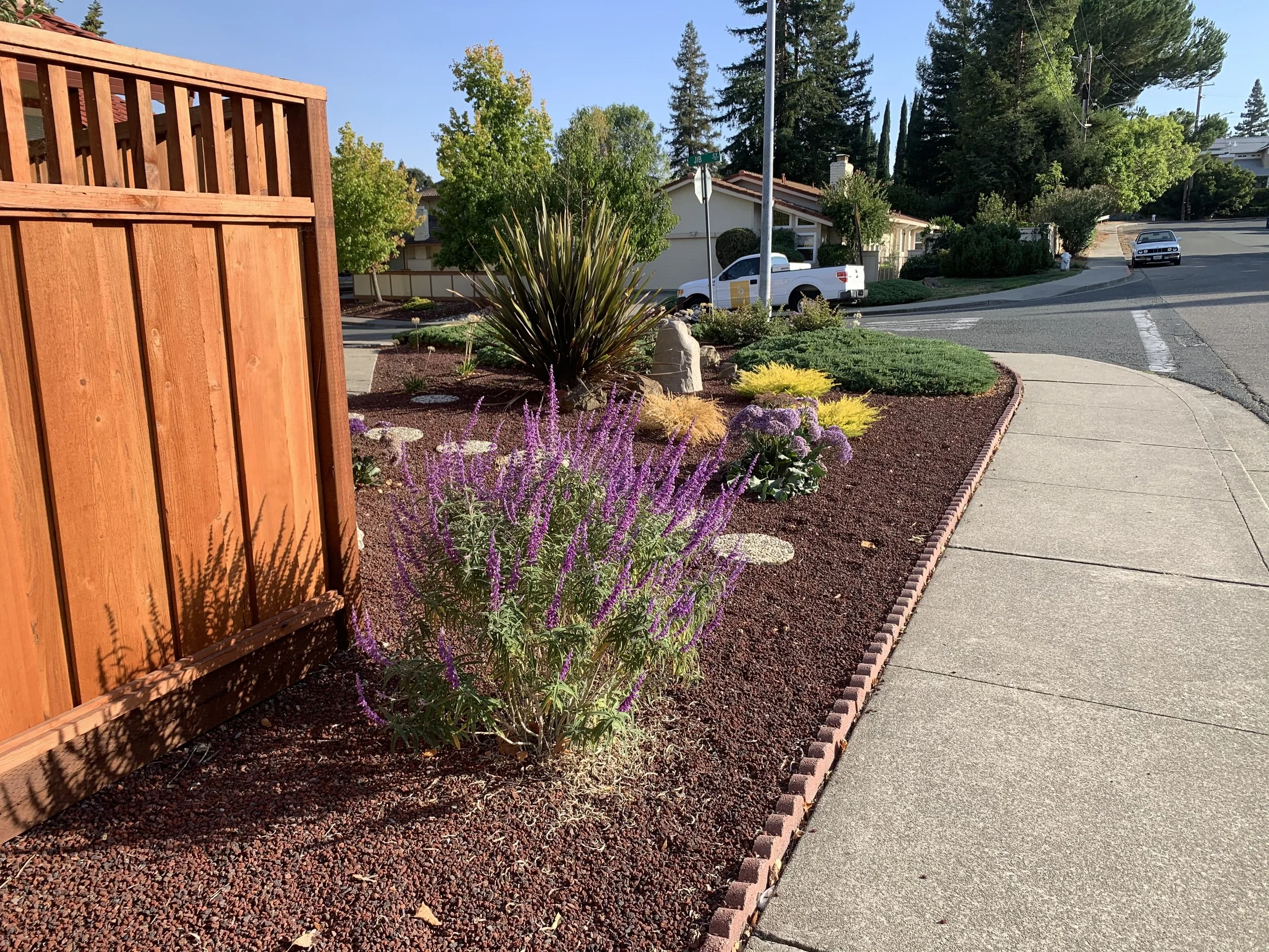 A landscaped front yard with a variety of colorful plants and flowers, a wooden fence on the left, a sidewalk on the right, and a street with houses and parked cars in the background.