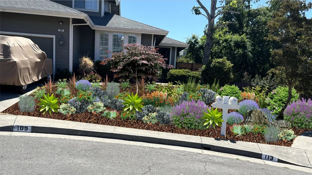 Colorful front yard flower garden with succulents, purple flowering plants, shrubs, and trees in front of a gray house with a covered porch, located next to the street with house numbers 109 and 113 visible.