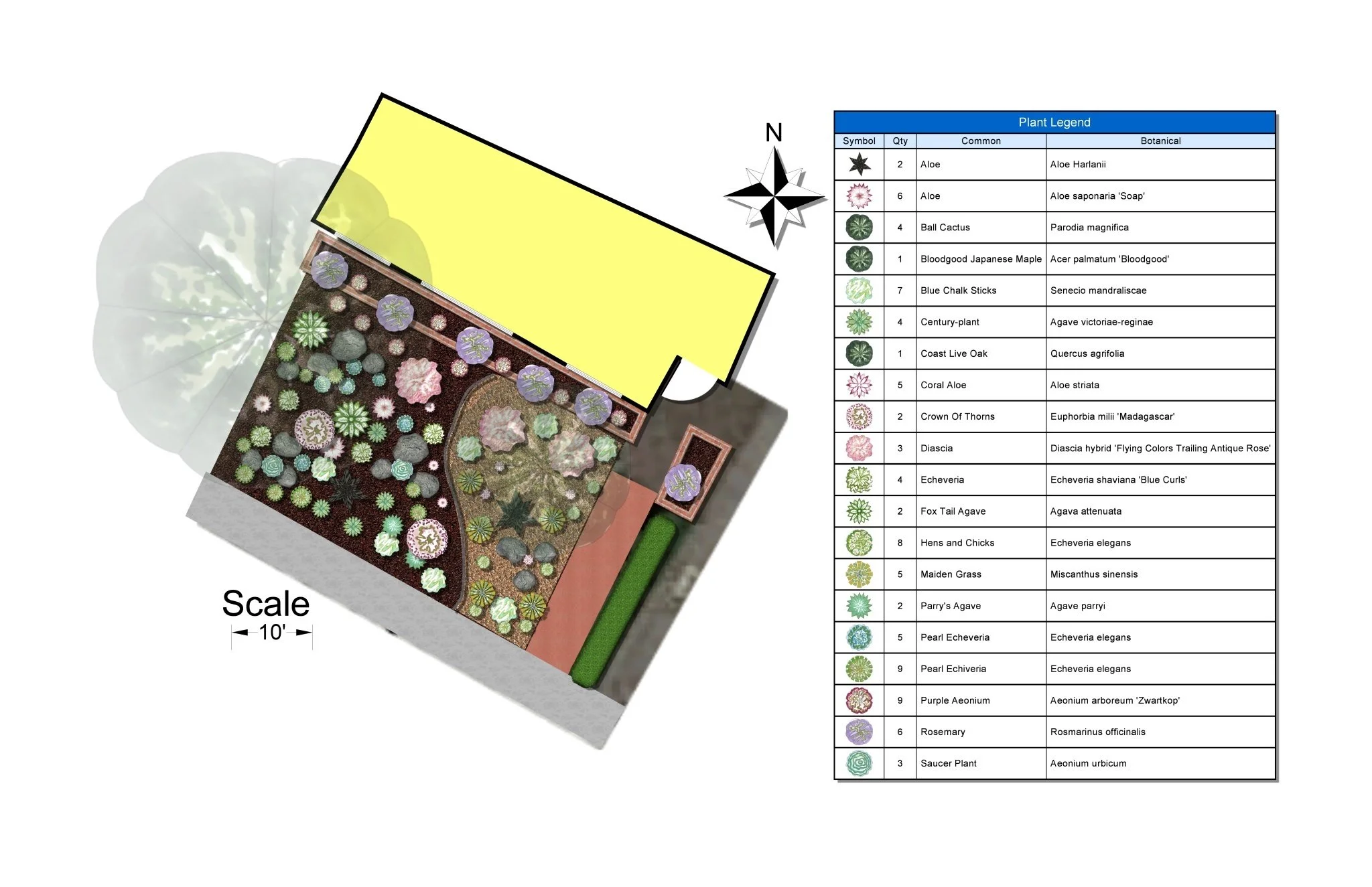 A colorful garden layout with a plant legend on the right and a scale bar indicating 10 feet, with various cacti, succulents, and plants arranged around a house structure.