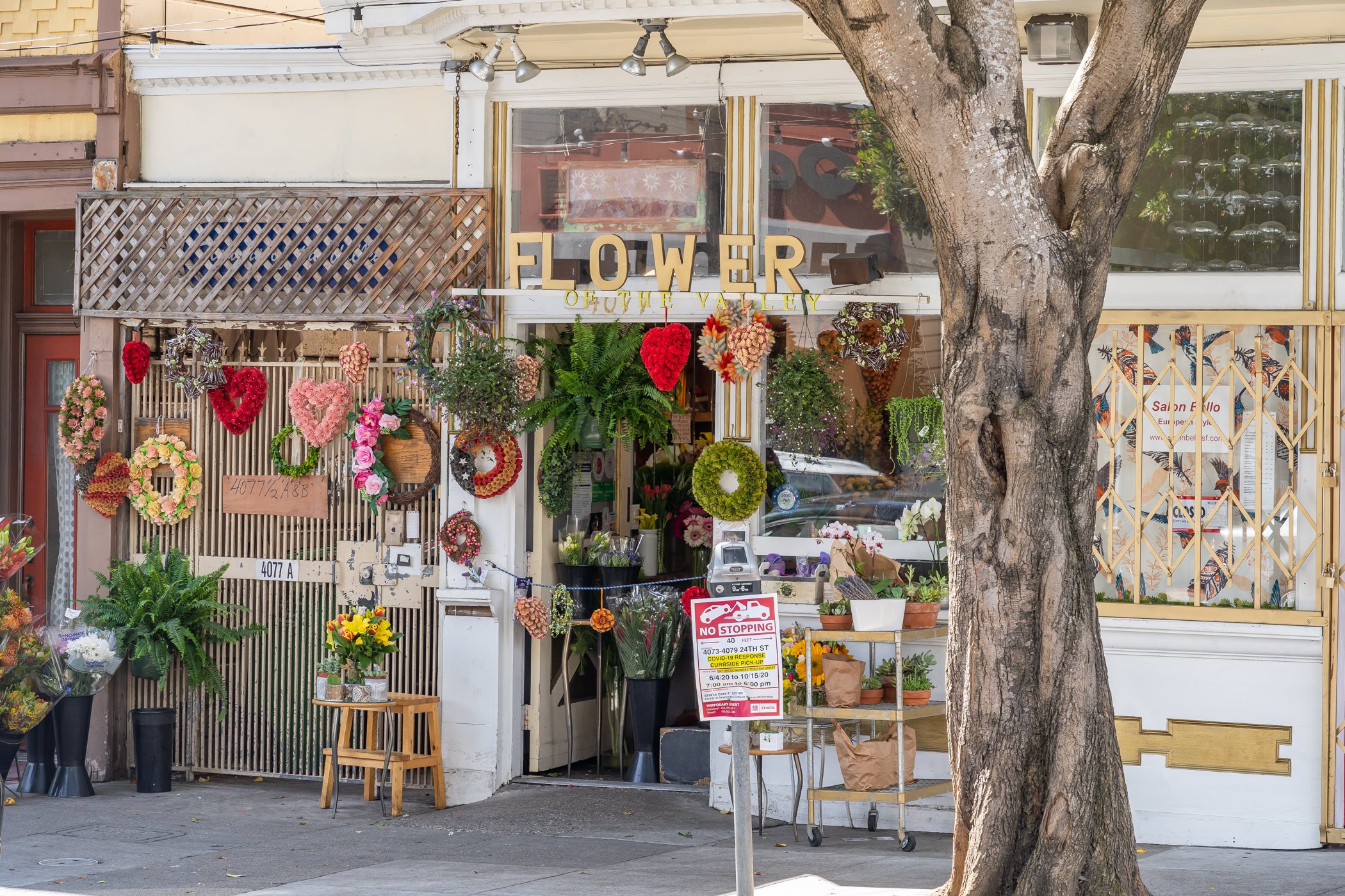 Flower shop storefront named 'Flower of the Valley' decorated with various colorful floral wreaths and arrangements, with a large tree in front.