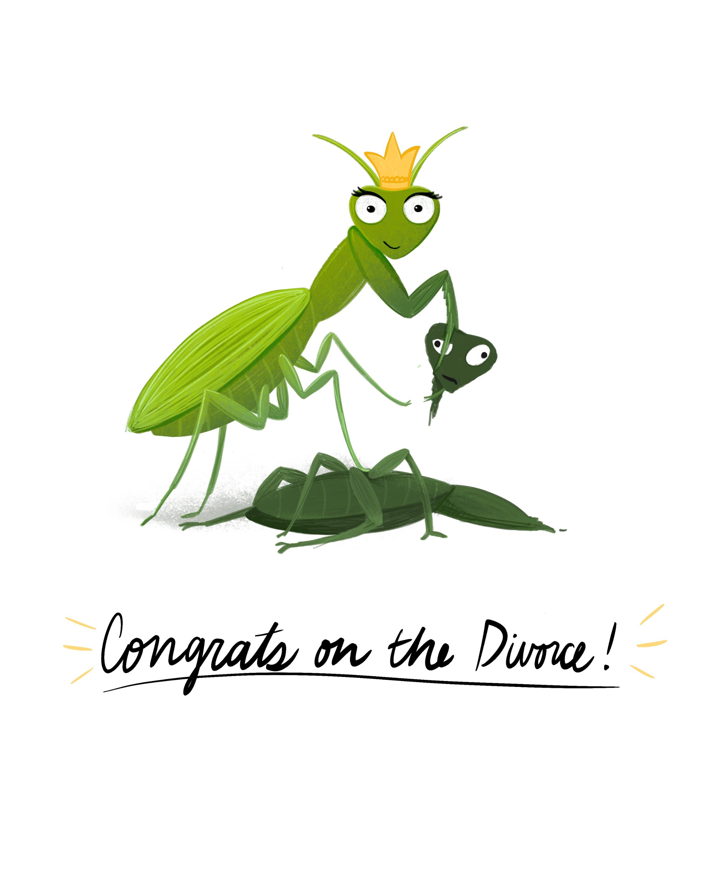 Mantis_Divorce_.jpg