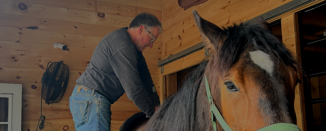 A man in a gray shirt with glasses brushing a horse inside a wooden stable.