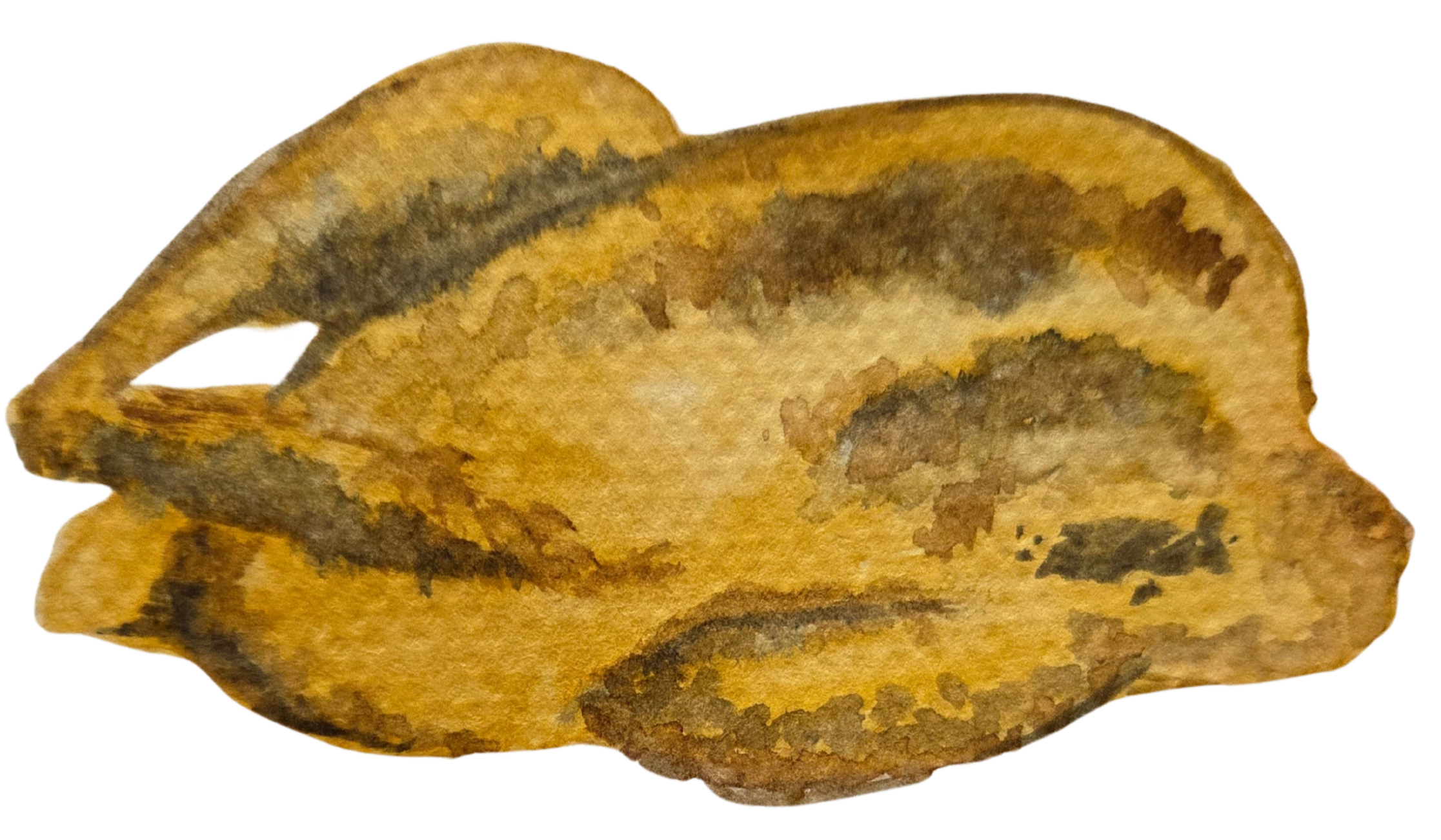 Seasonal Washington Chicken