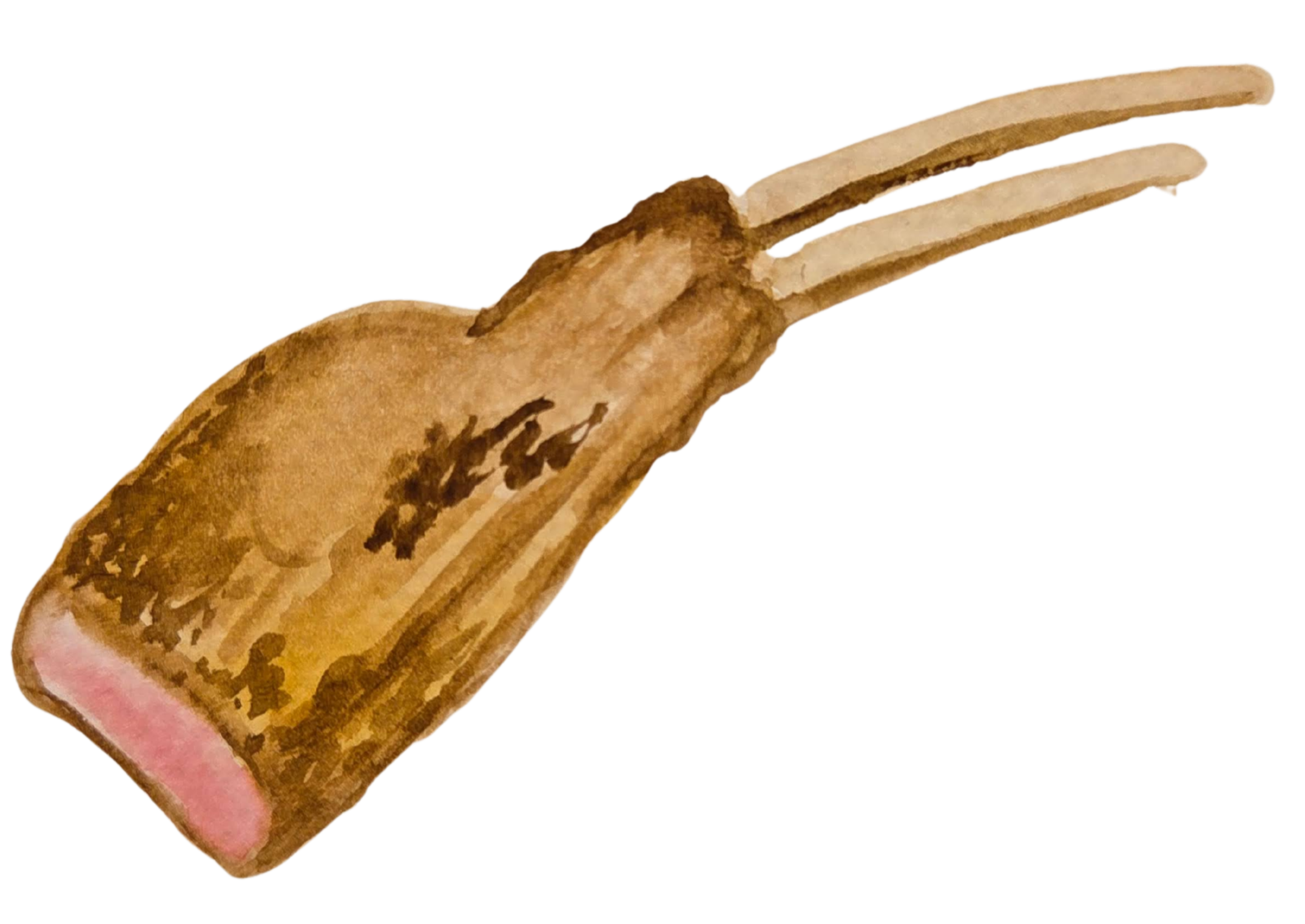 Oregon Pasture Raised Lamb