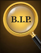 Brucia Investigations