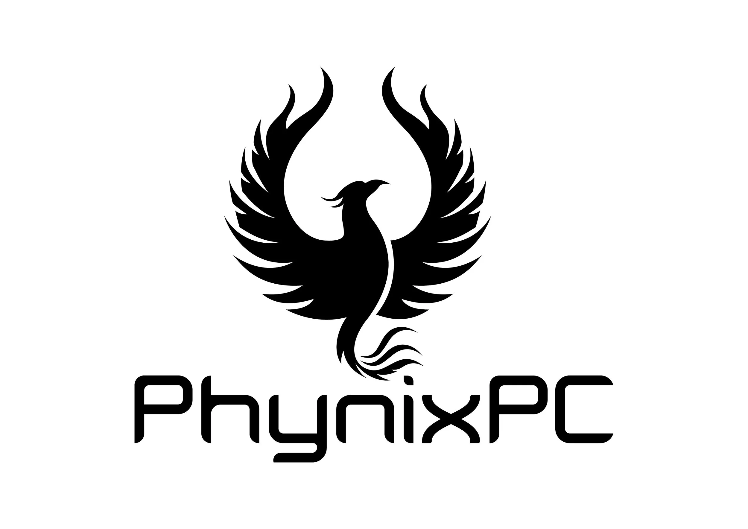 phoenix_2-03.jpg