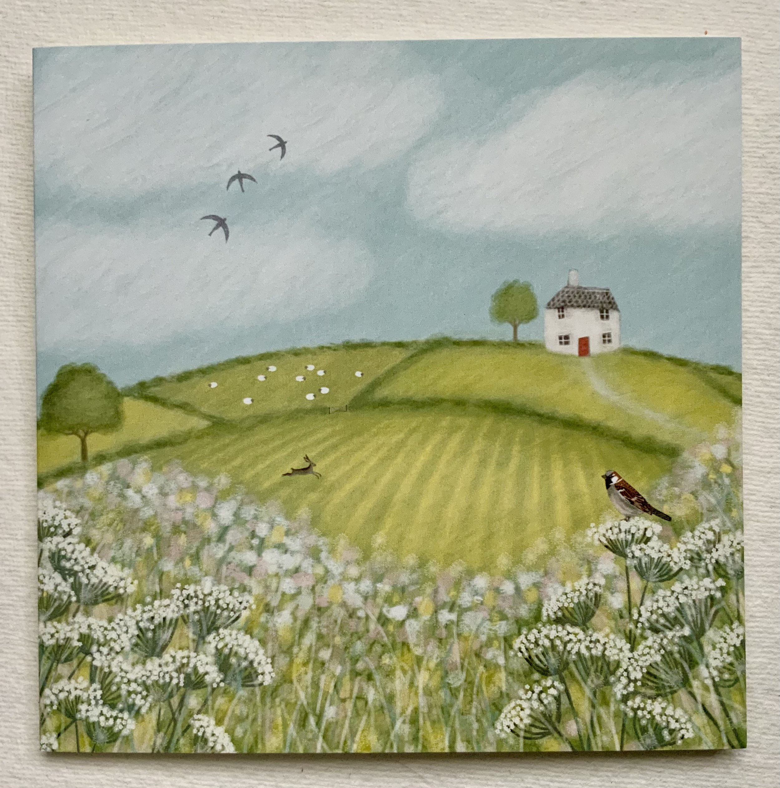 Summer Meadows,  Blank Greetings Card