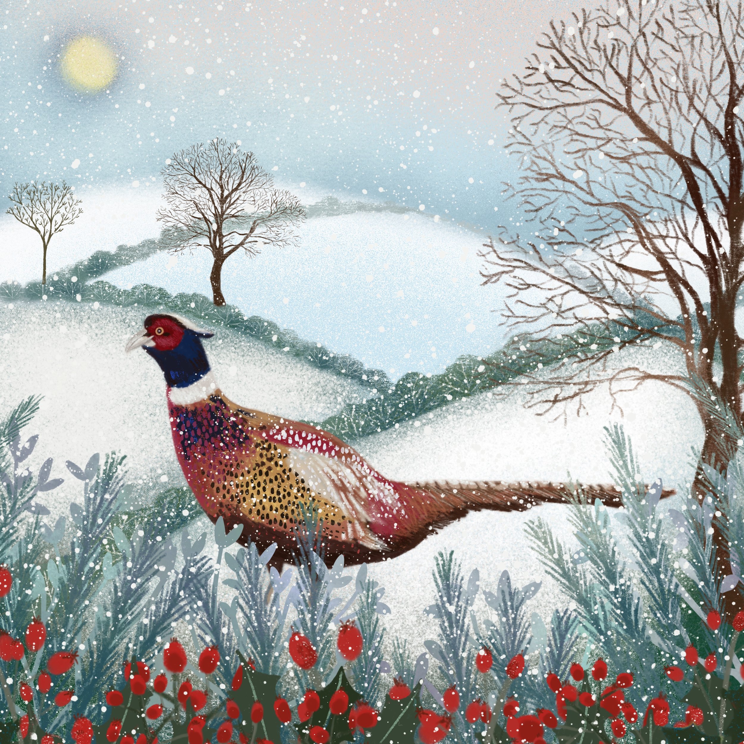 A colourful pheasant standing among frosted bushes with red berries on a snowy winter landscape, with bare trees, a snow-covered hill, and a pale yellow sun in the background.