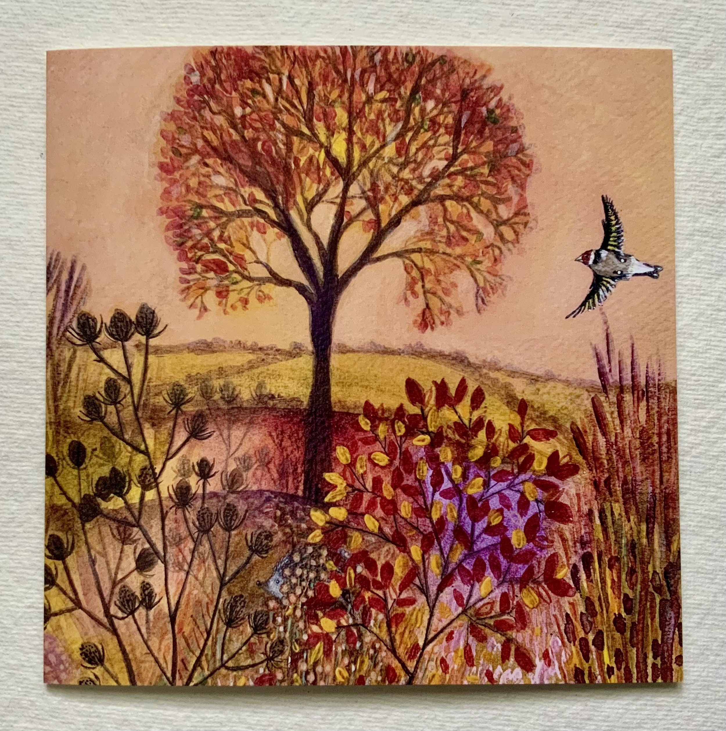Autumn Dawn blank greetings card