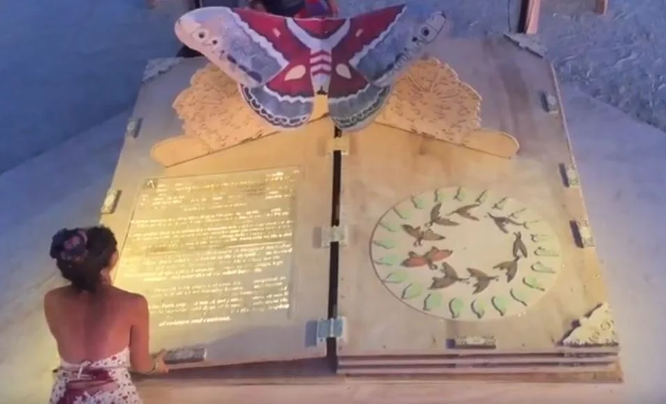 Mothpage popupbook.JPG