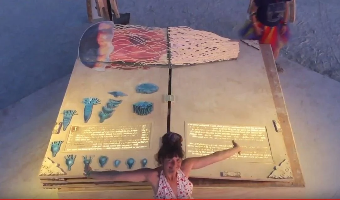 Jellyfish pop up.JPG