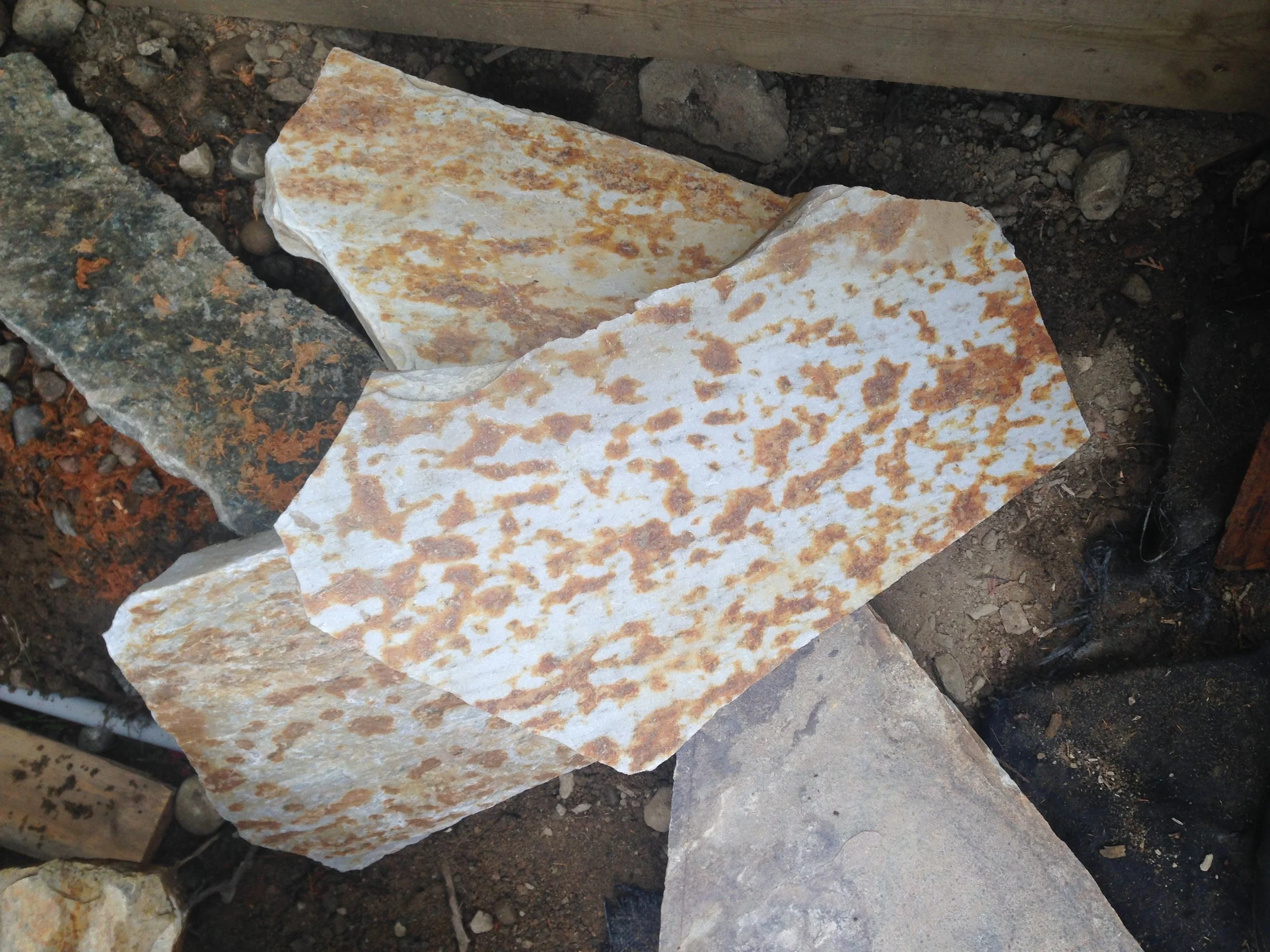 IMG_2375 - Copy - Copy.JPG