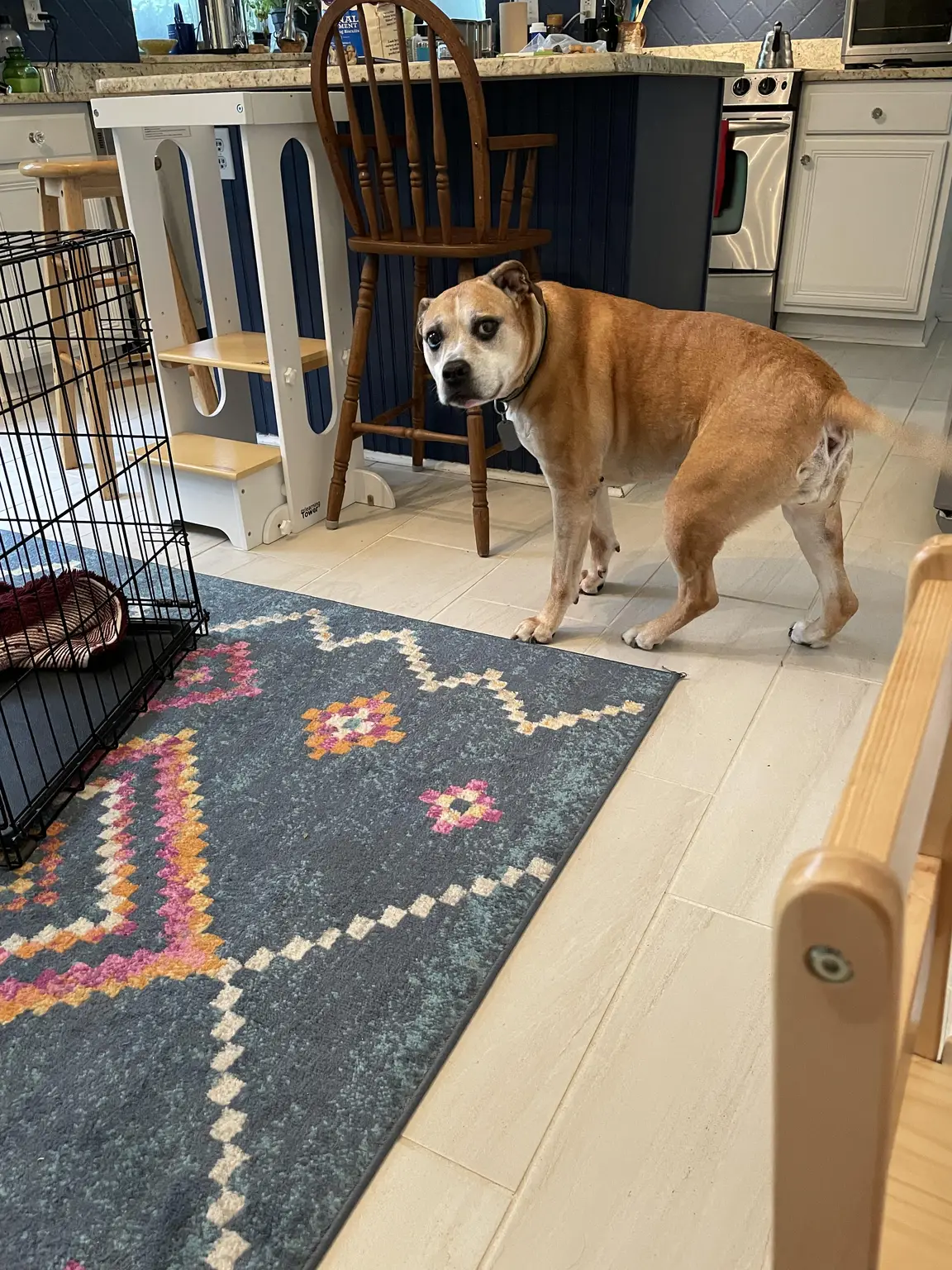 Coda