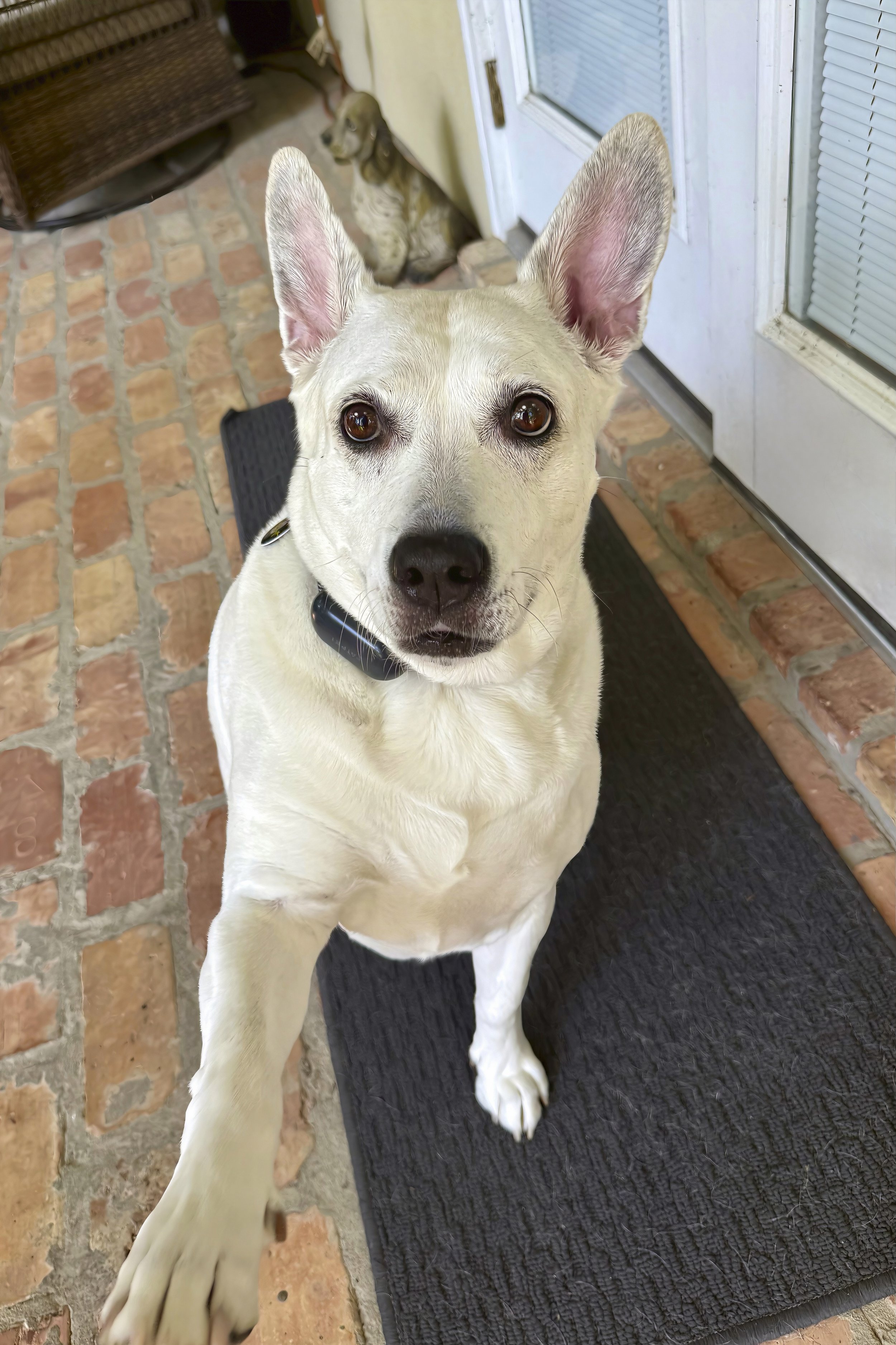 Zoey