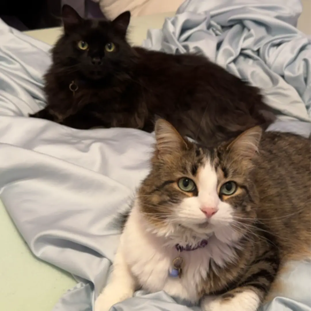 Binx & Mila