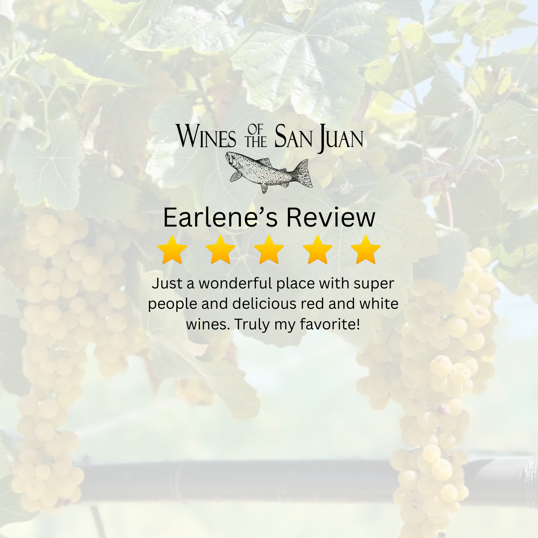 Review for Wines of the San Juan with a background of grapevine leaves and bunches of grapes, including a fish illustration, stars indicating a five-star rating, and text praising the wine experience.