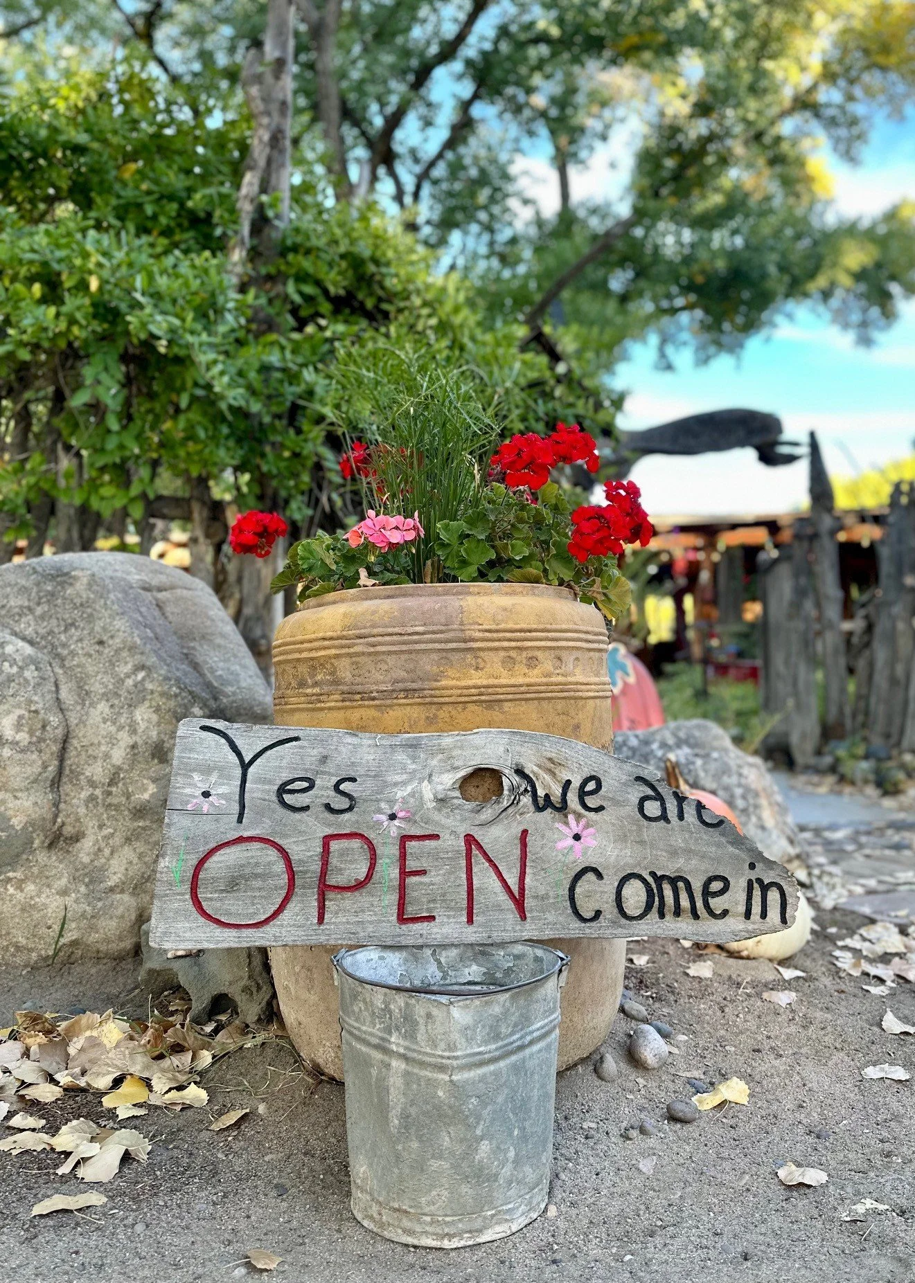 A wooden sign with the words "Yes we are OPEN come in" written in black and red letters. The sign is placed on a metal bucket in front of a large potted plant with red and pink flowers. Rocks and dried leaves are on the ground, and in the background there are trees and a rustic outdoor setting.