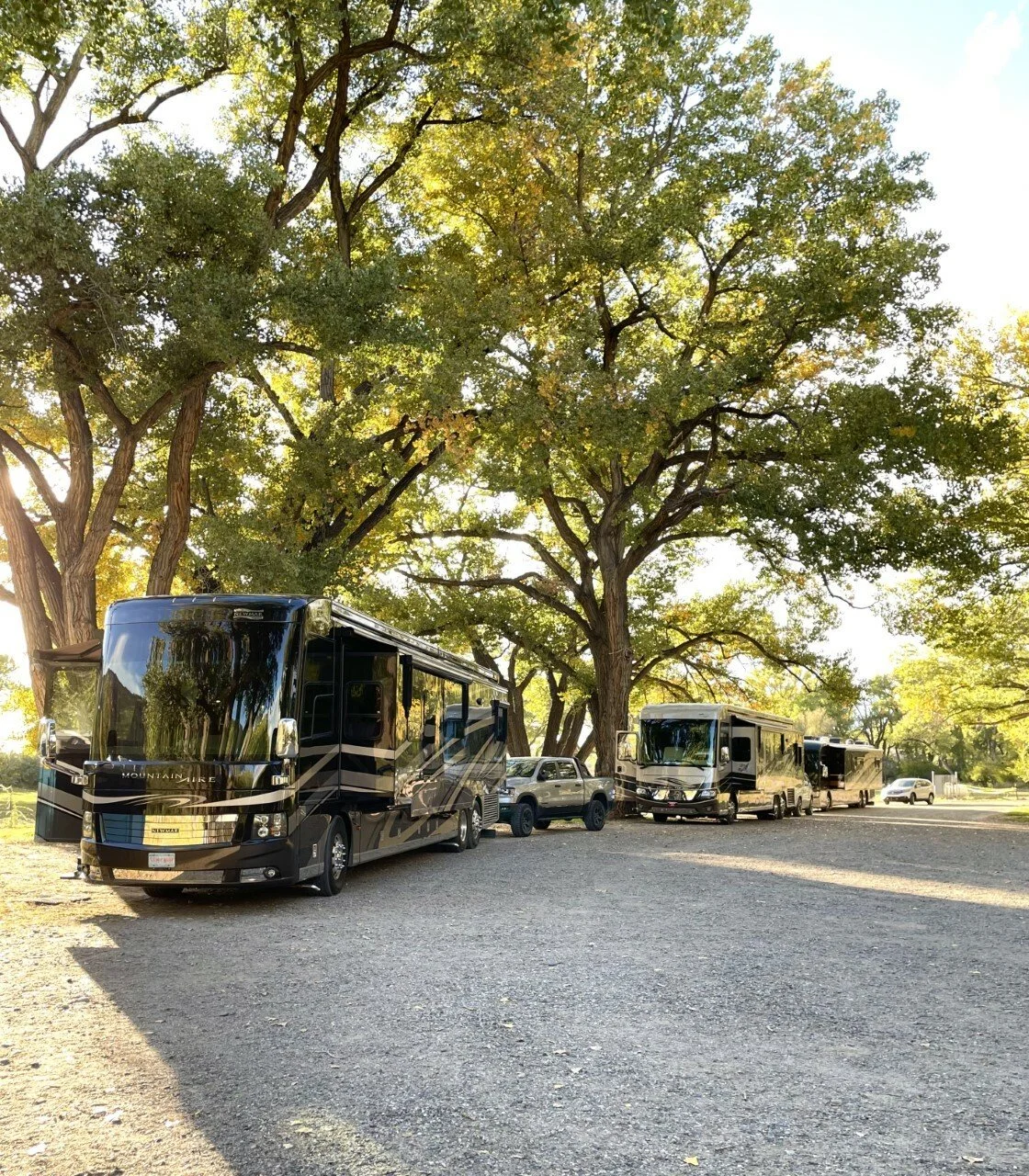 Several recreational vehicles and trucks parked under large trees in a grassy area, with sunlight filtering through the leaves.