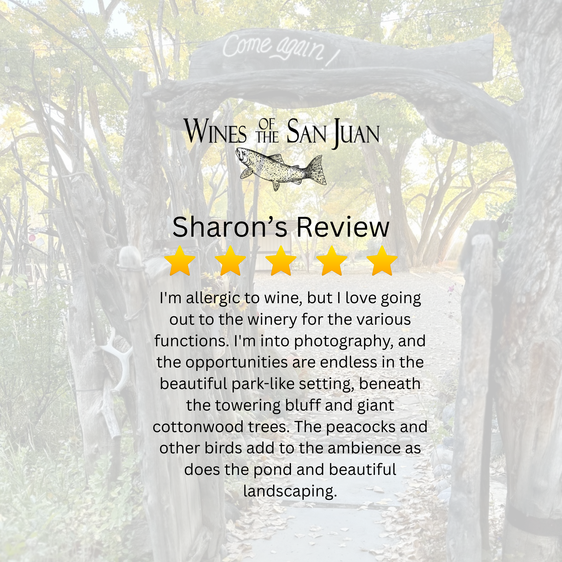 Review for Wines of the San Juan; image shows a park-like setting with trees, cottonwood trees, pond, and a wooden arch. Text indicates 'Sharon's Review' with a 5-star rating, and a description about enjoying winery visits, photography, and the scenic landscape.