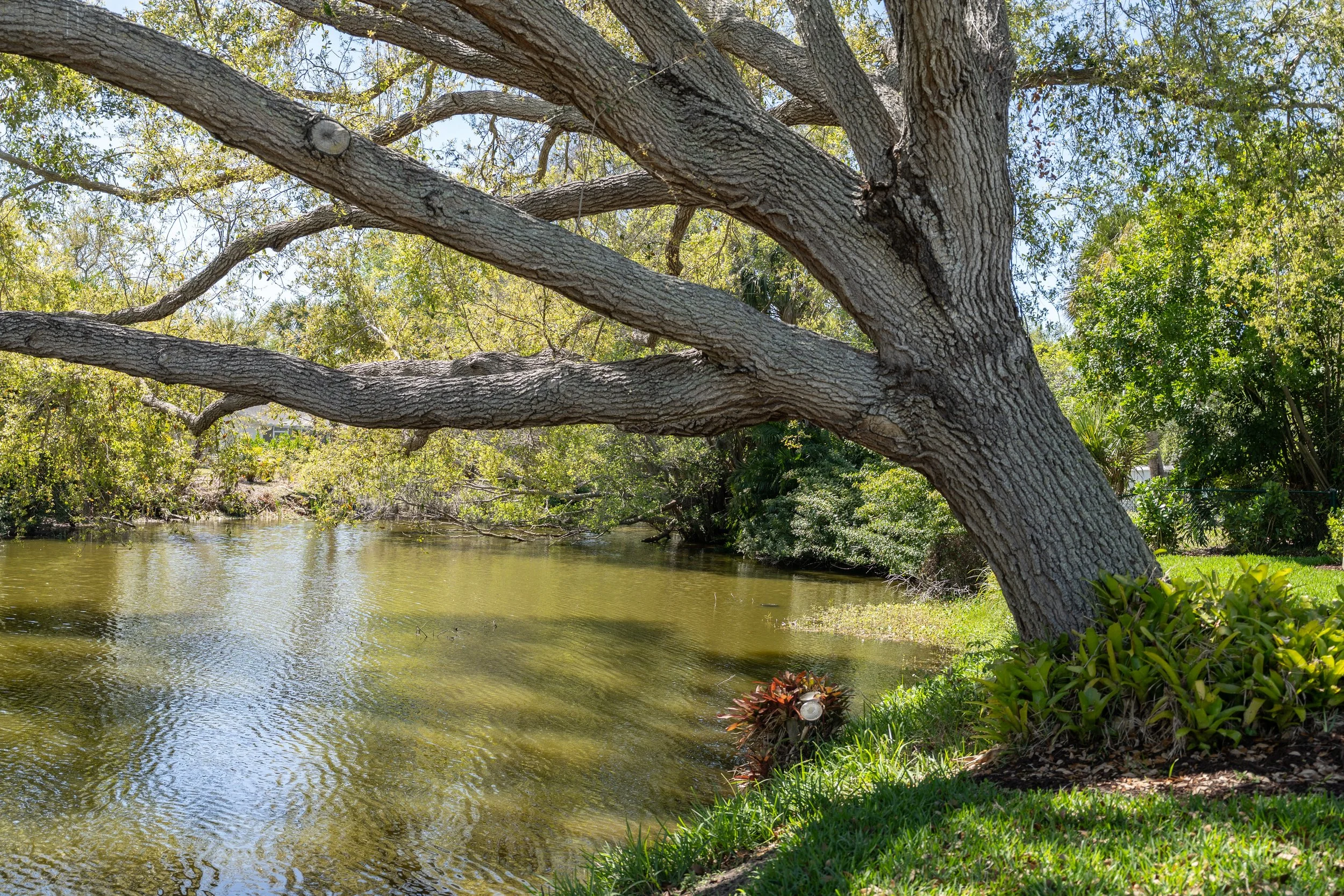 1802_Field_Rd_318-40.jpg