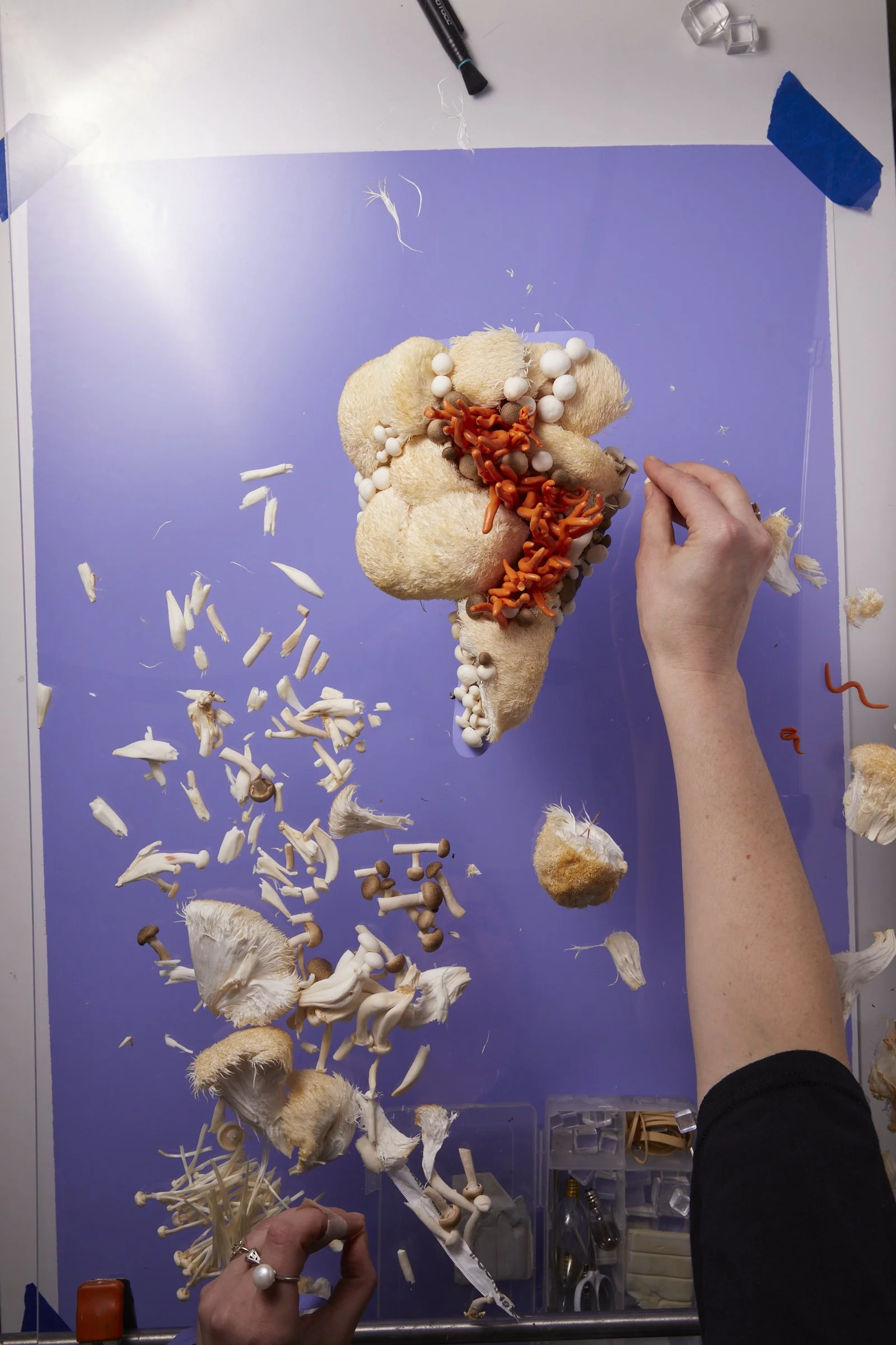 Behind-the-scenes Alice Mushrooms - Lightning