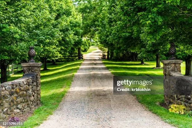 A gravel driveway lined with lush green trees and grass, with stone walls and decorative urns on stone pillars at the entrance leading to a garden or park.