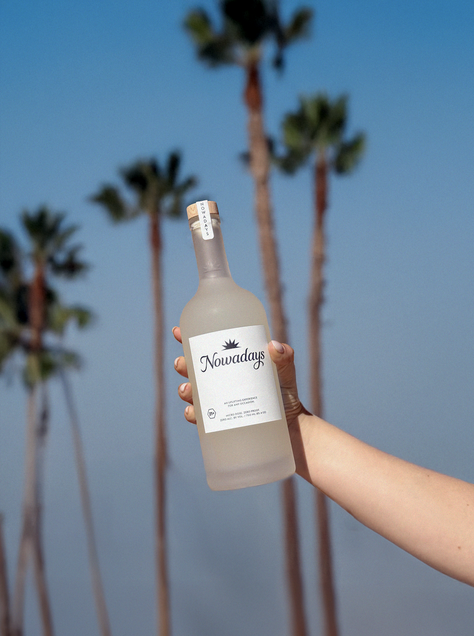 Screenshot 2025-04-01 at 12.17.33 PM.png